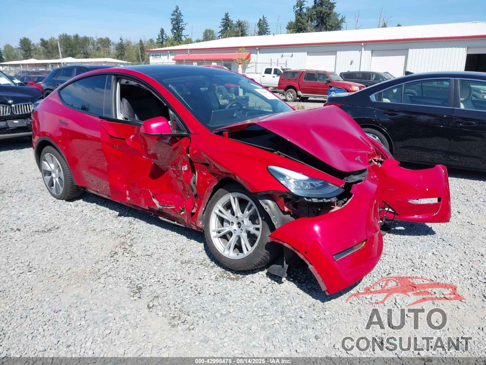 TESLA MODEL Y 2021 - 5YJYGDEE1MF196290
