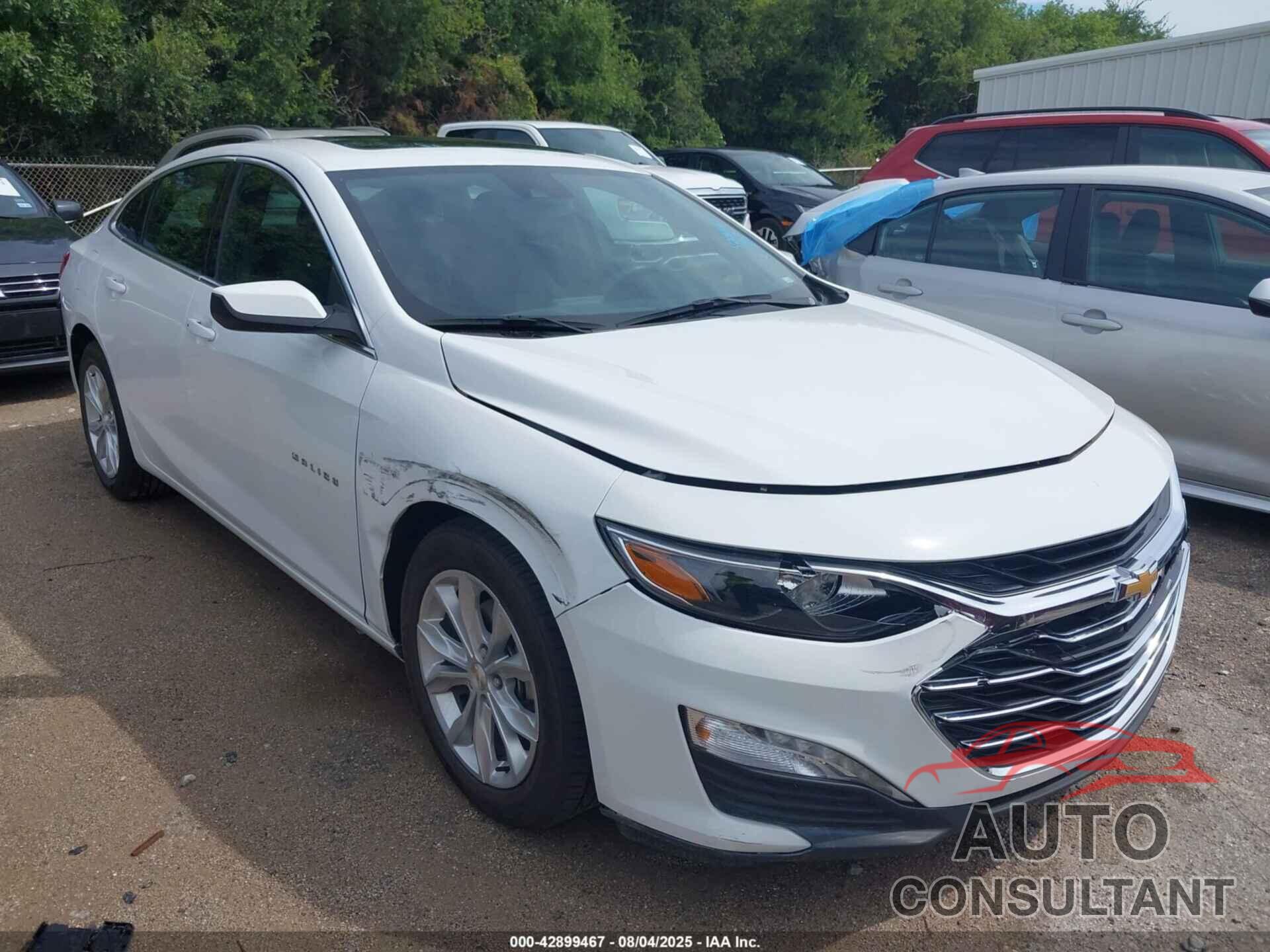 CHEVROLET MALIBU 2024 - 1G1ZD5ST3RF128767