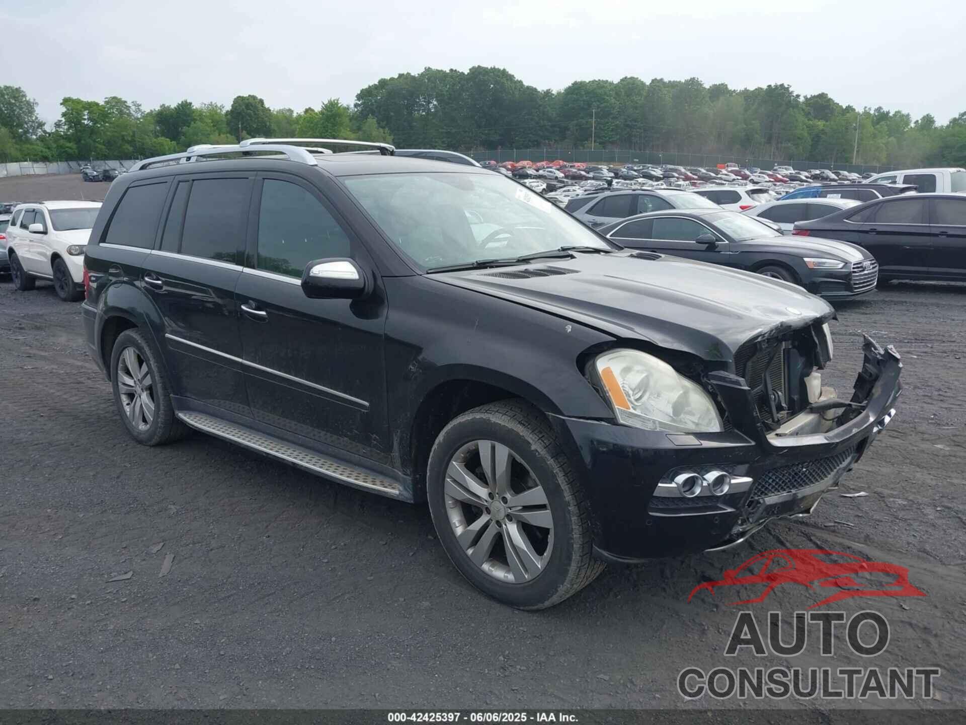 MERCEDES-BENZ GL 450 2010 - 4JGBF7BE5AA605373
