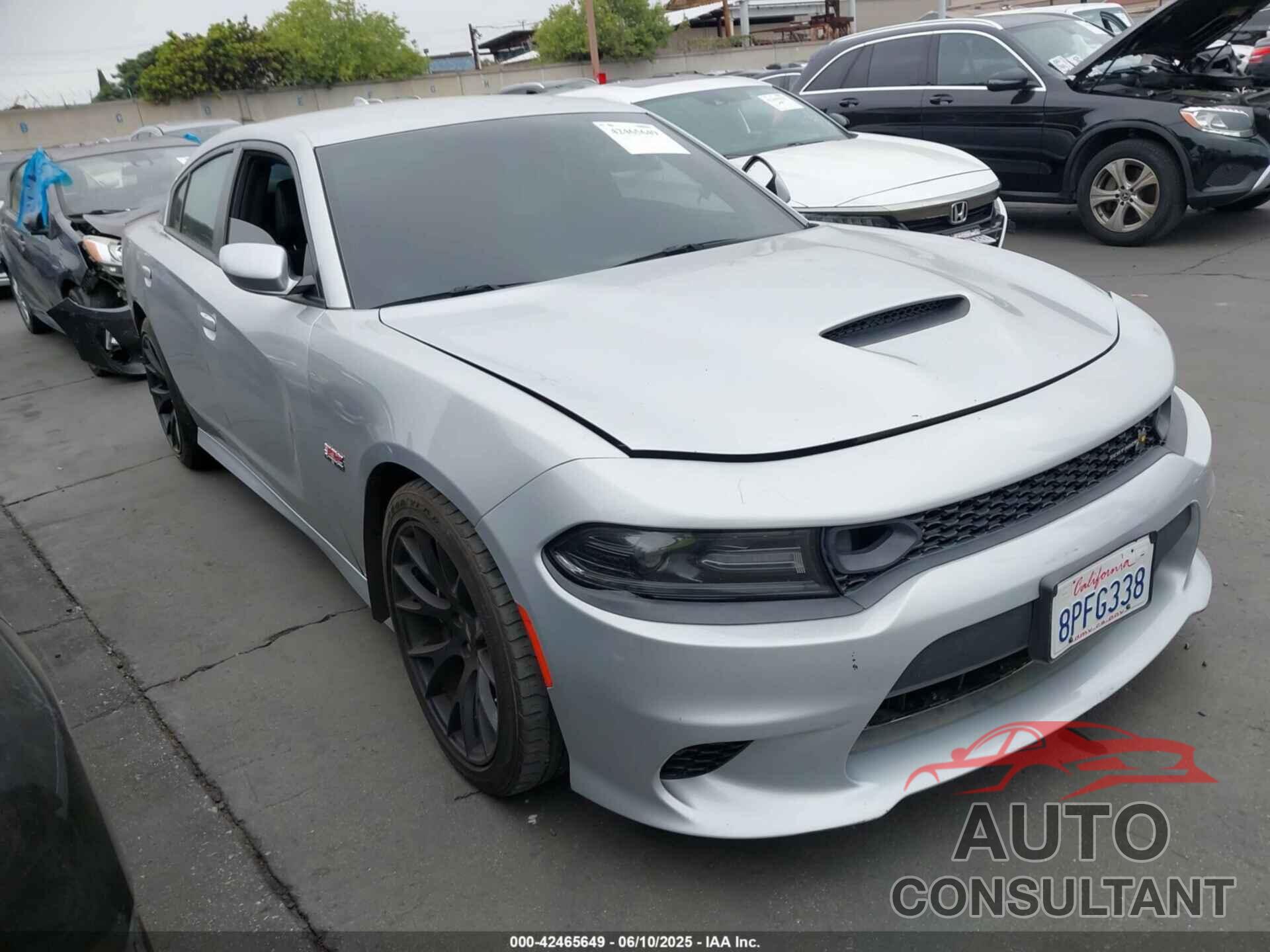 DODGE CHARGER 2019 - 2C3CDXGJ0KH742717