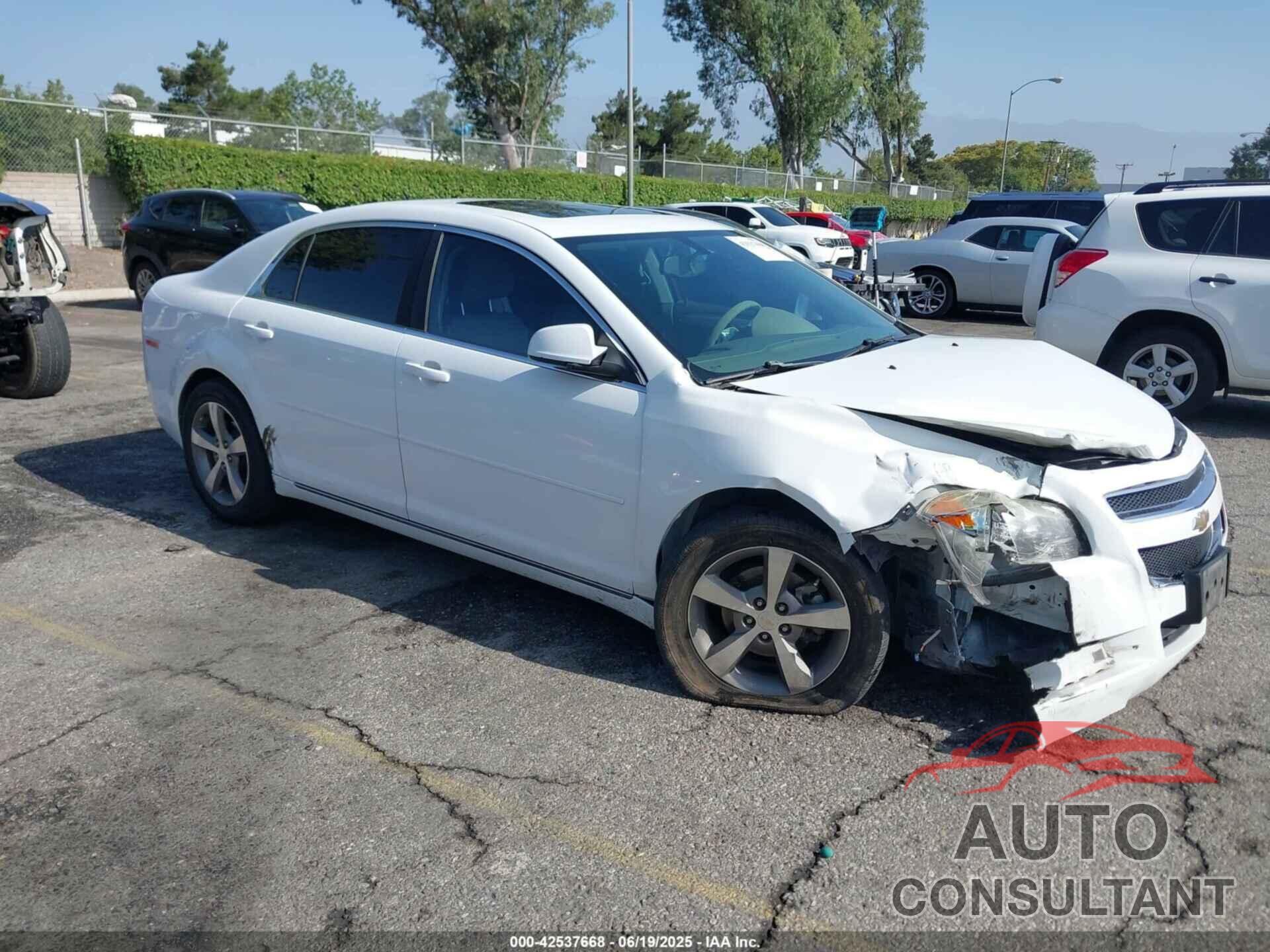 CHEVROLET MALIBU 2011 - 1G1ZC5E19BF377254