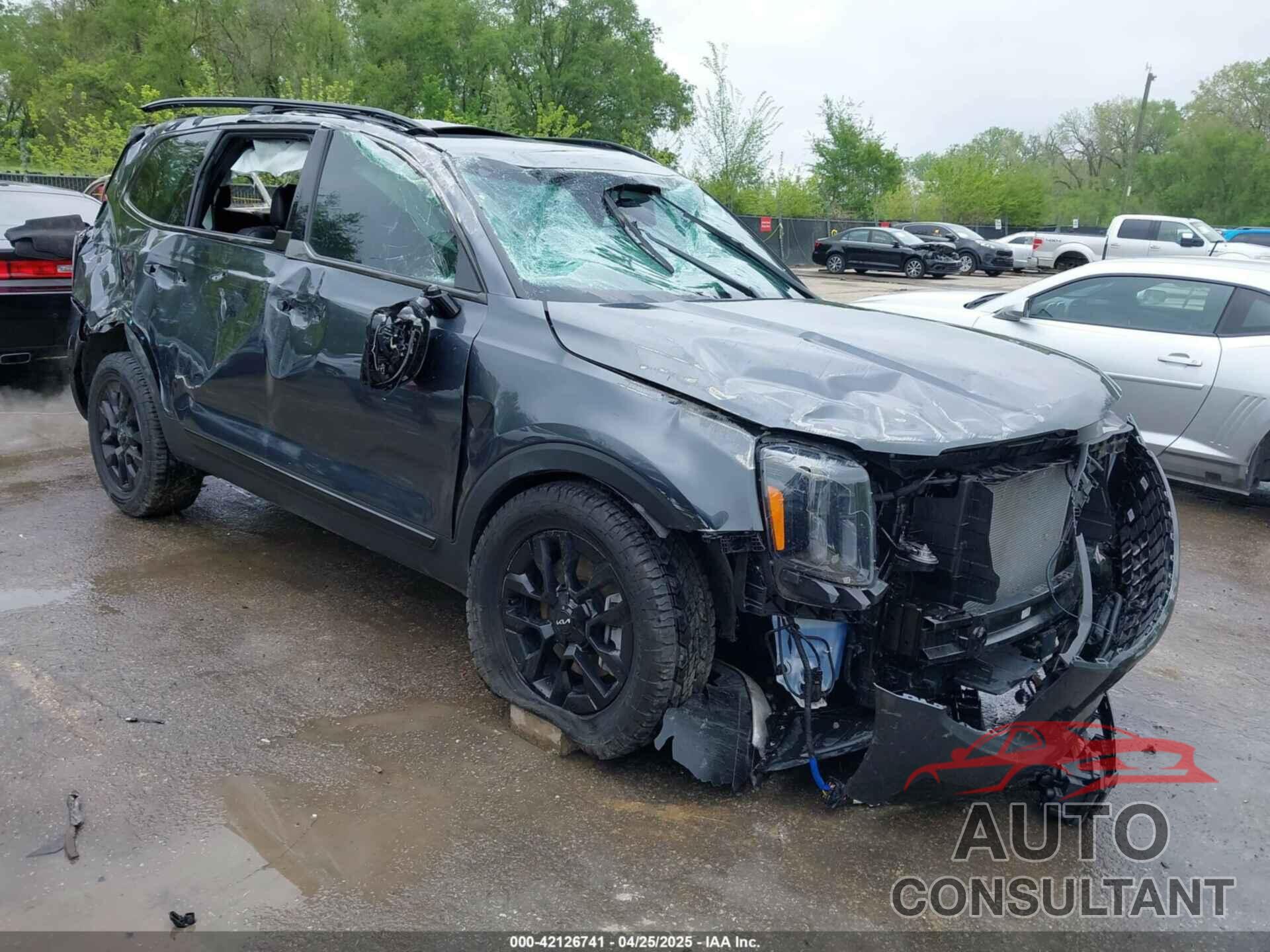KIA TELLURIDE 2024 - 5XYP5DGC9RG530255