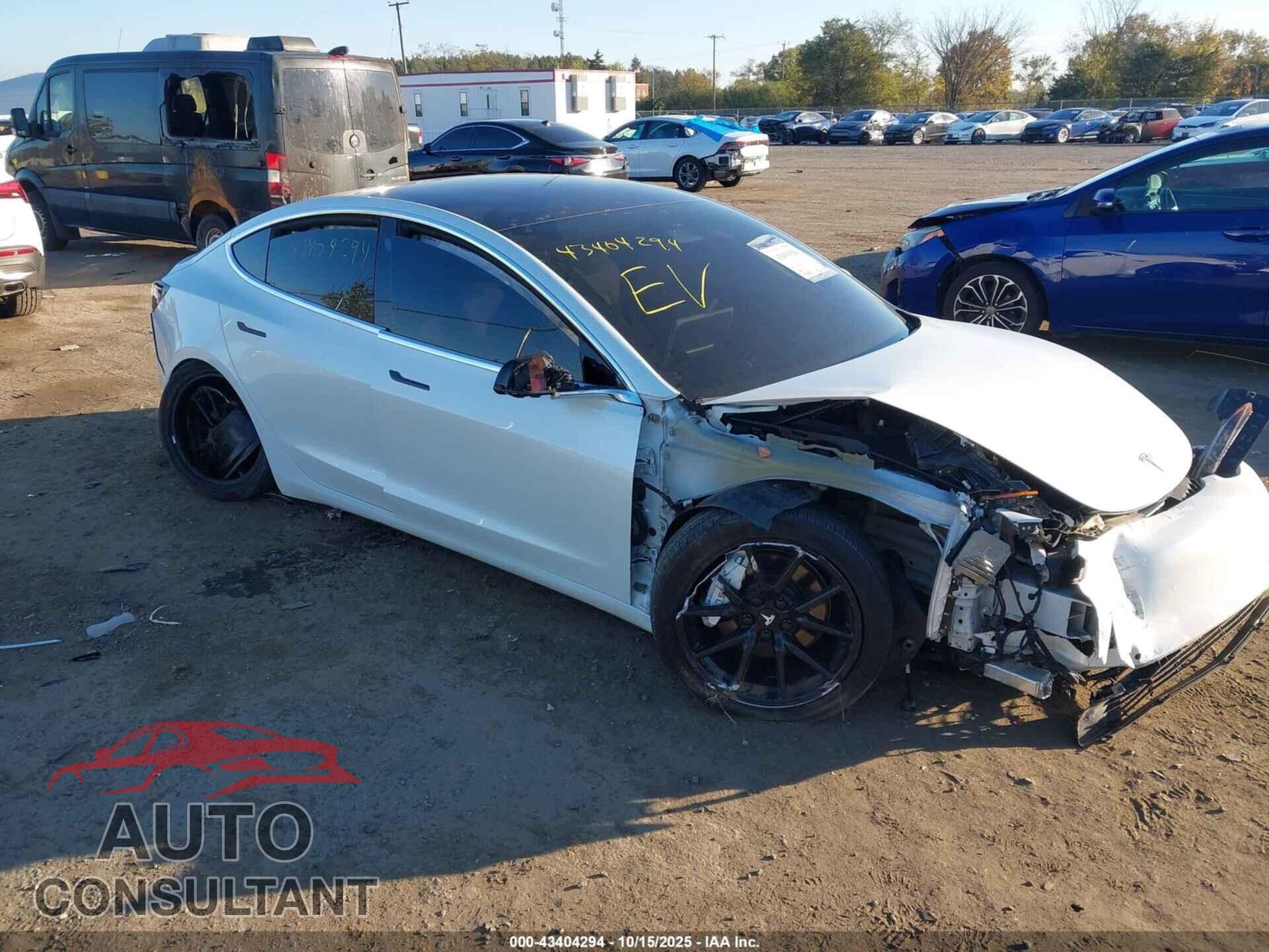 TESLA MODEL 3 2019 - 5YJ3E1EA8KF312481