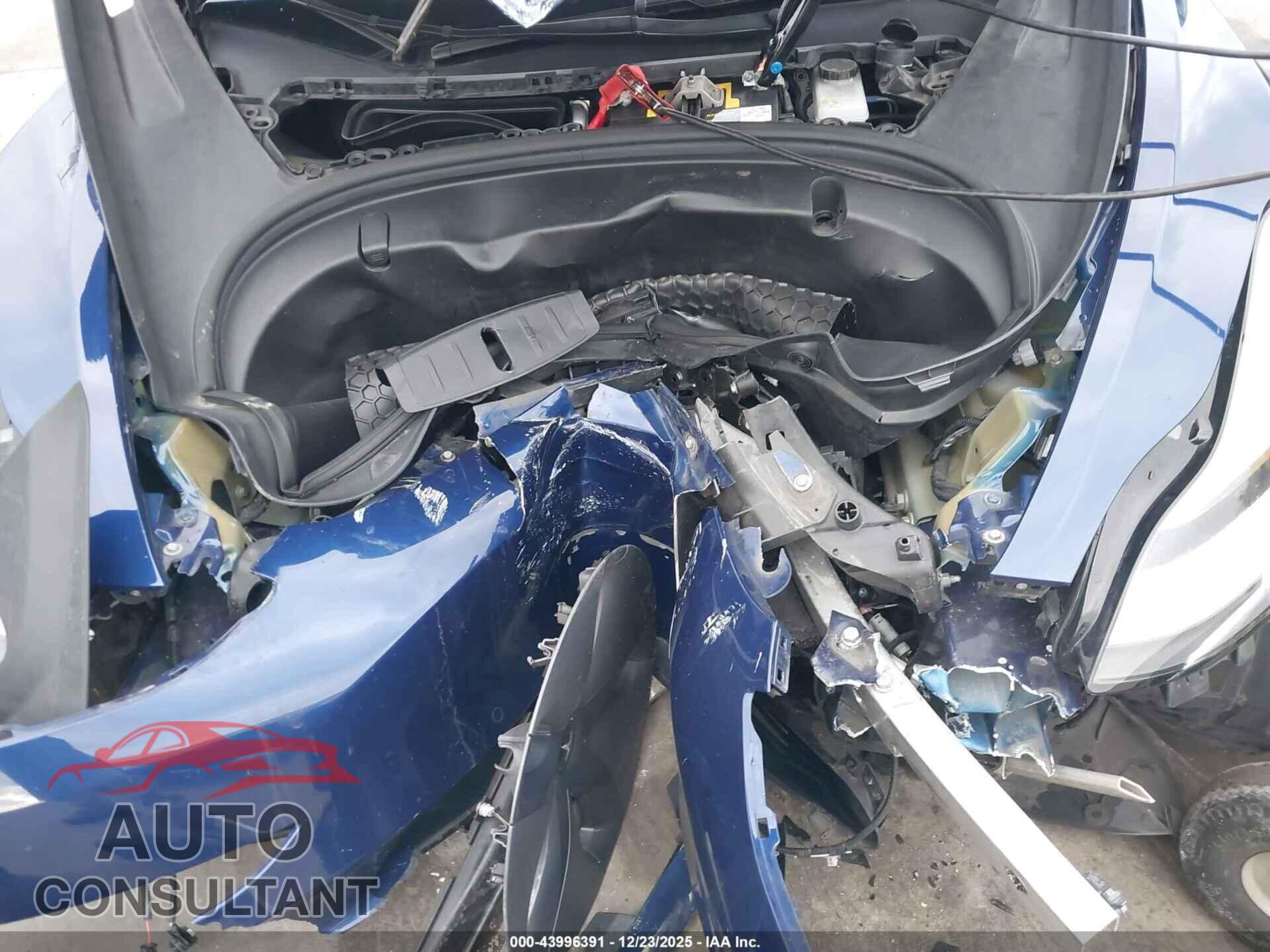 TESLA MODEL 3 2019 - 5YJ3E1EA2KF299534