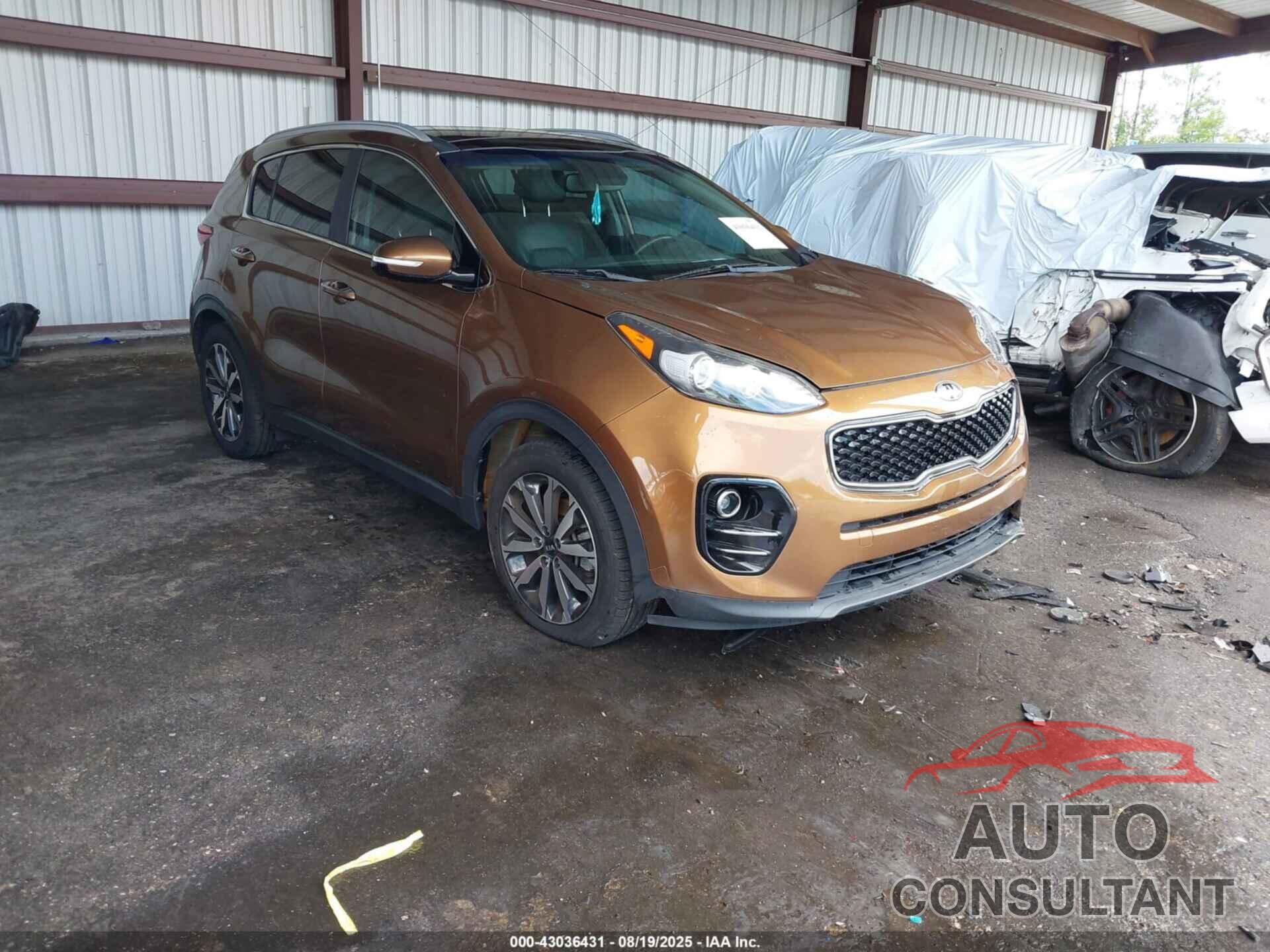 KIA SPORTAGE 2017 - KNDPN3AC3H7258428