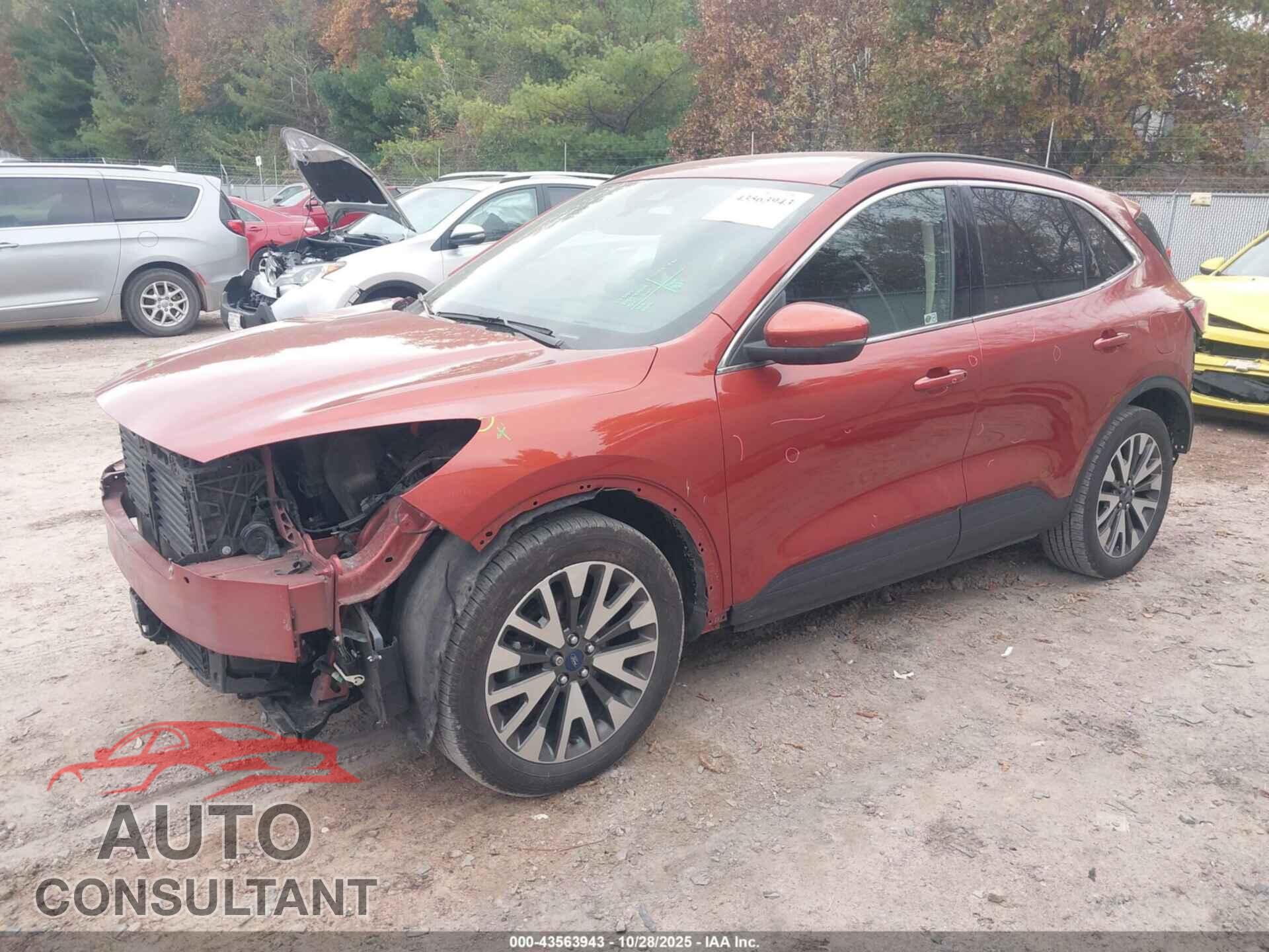FORD ESCAPE 2020 - 1FMCU9DZ6LUA42759