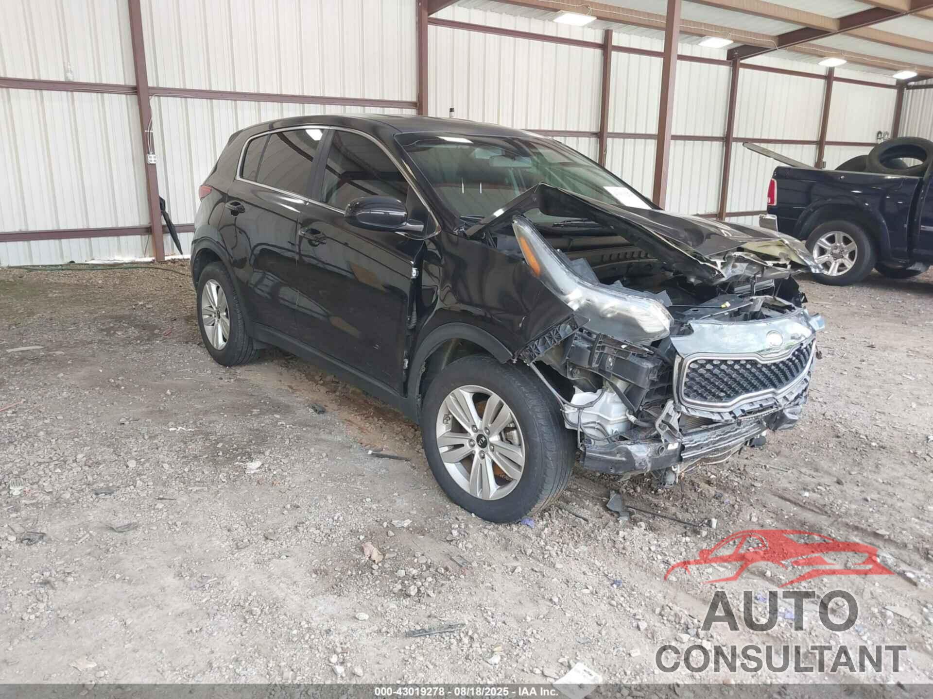 KIA SPORTAGE 2017 - KNDPM3AC7H7291211