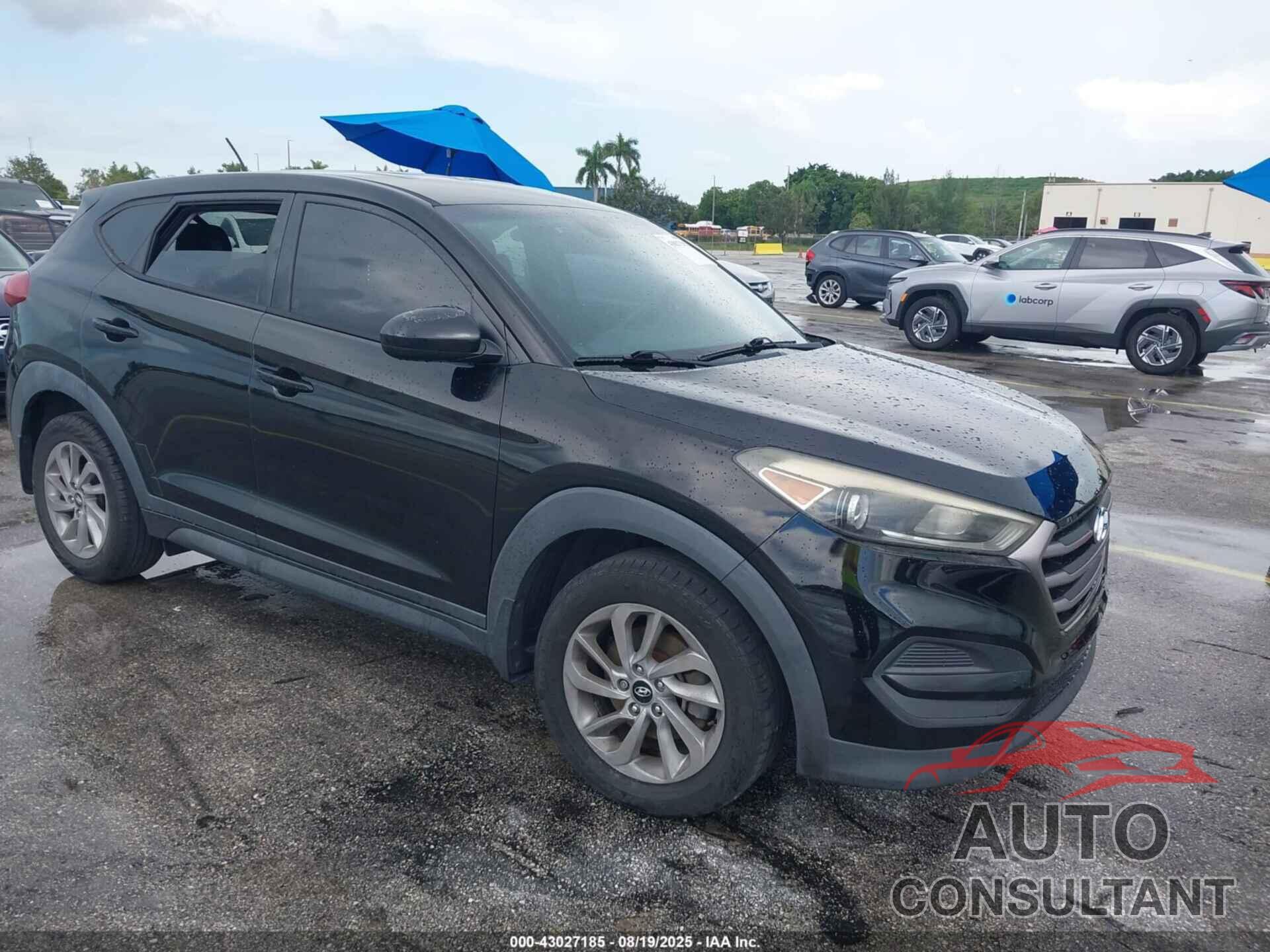 HYUNDAI TUCSON 2016 - KM8J23A43GU126501