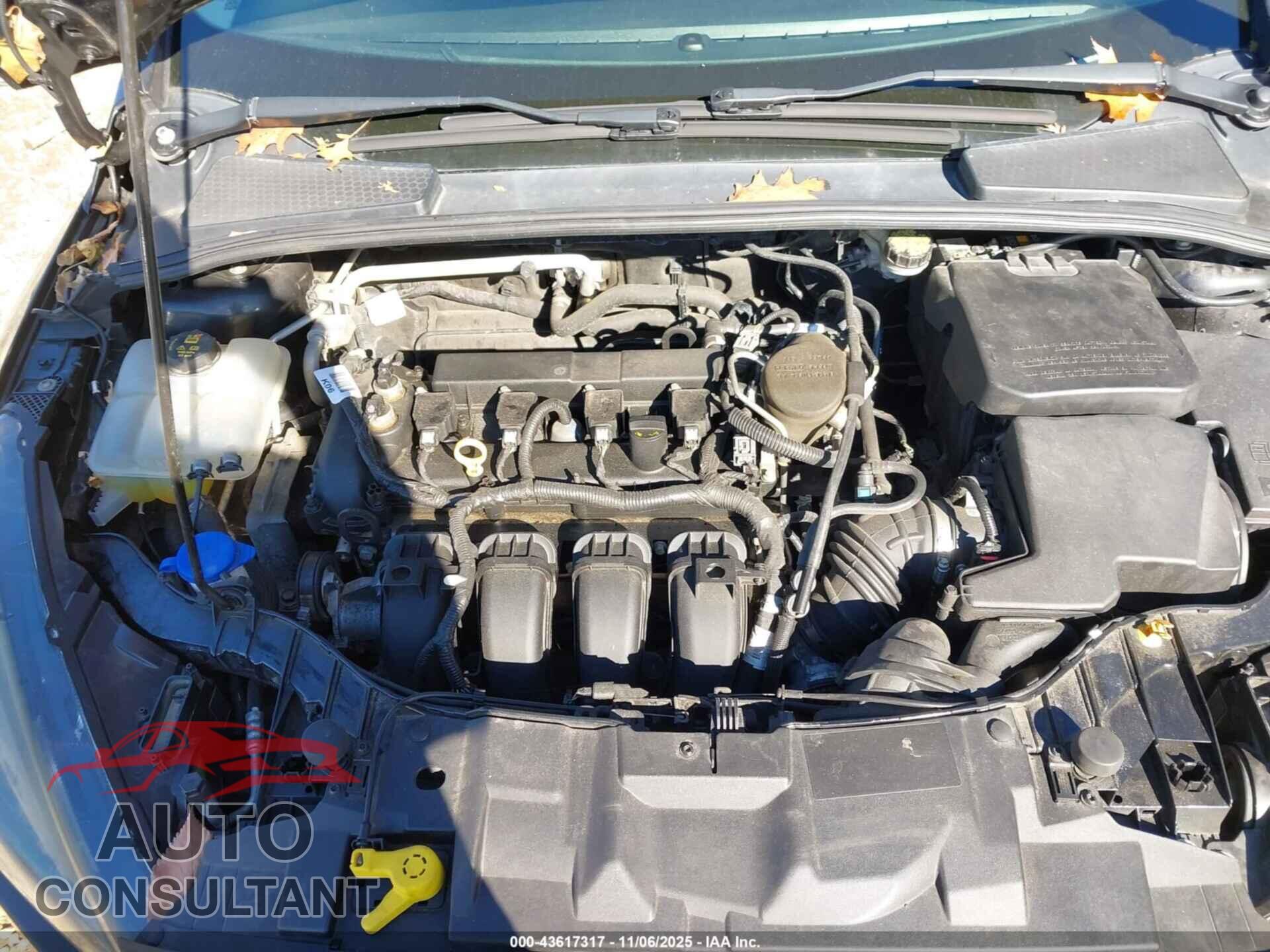FORD FOCUS 2016 - 1FADP3F23GL299540