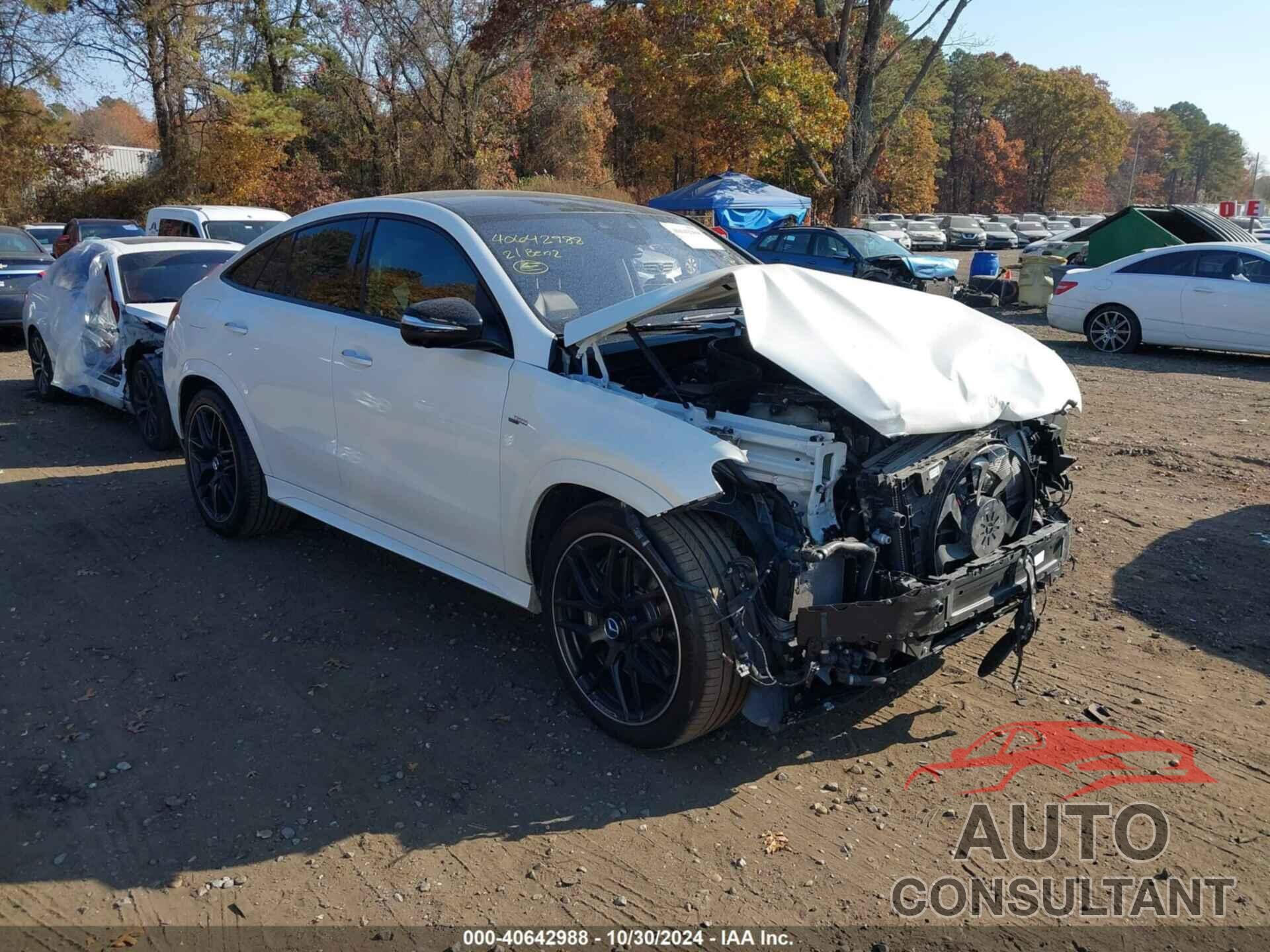 MERCEDES-BENZ AMG GLE 53 COUPE 2021 - 4JGFD6BB3MA386456