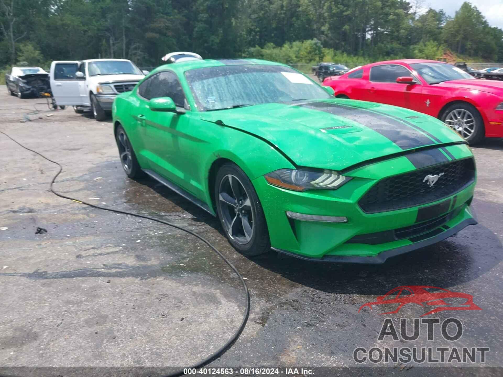 FORD MUSTANG 2019 - 1FA6P8TH6K5116479