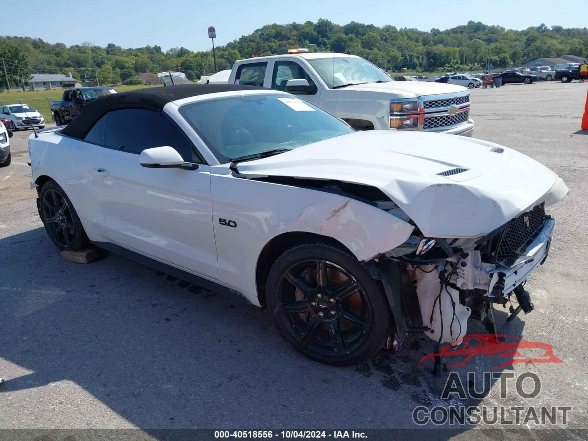 FORD MUSTANG 2019 - 1FATP8FF0K5110075