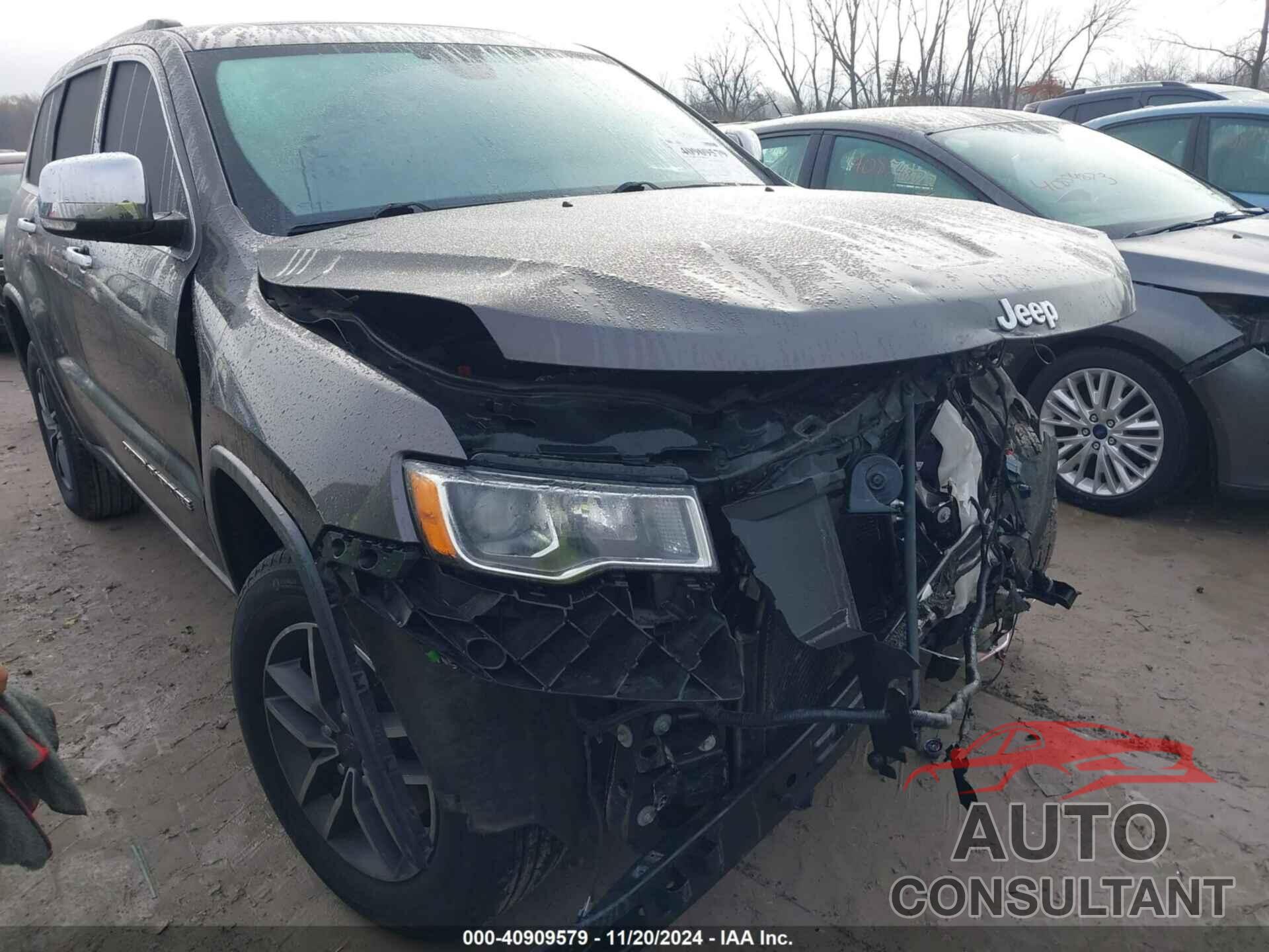 JEEP GRAND CHEROKEE 2019 - 1C4RJFBGXKC578884