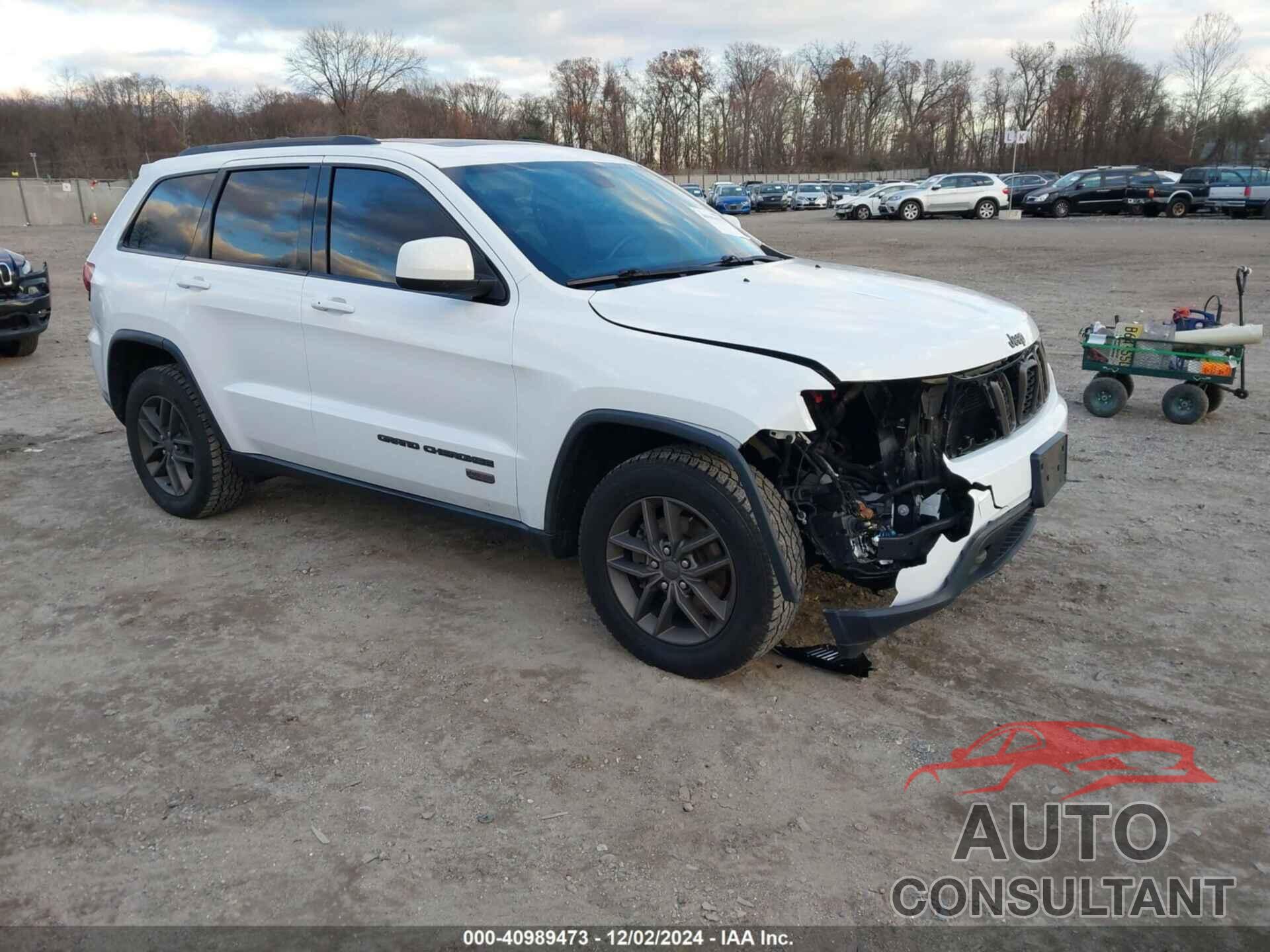 JEEP GRAND CHEROKEE 2016 - 1C4RJFAG5GC493217