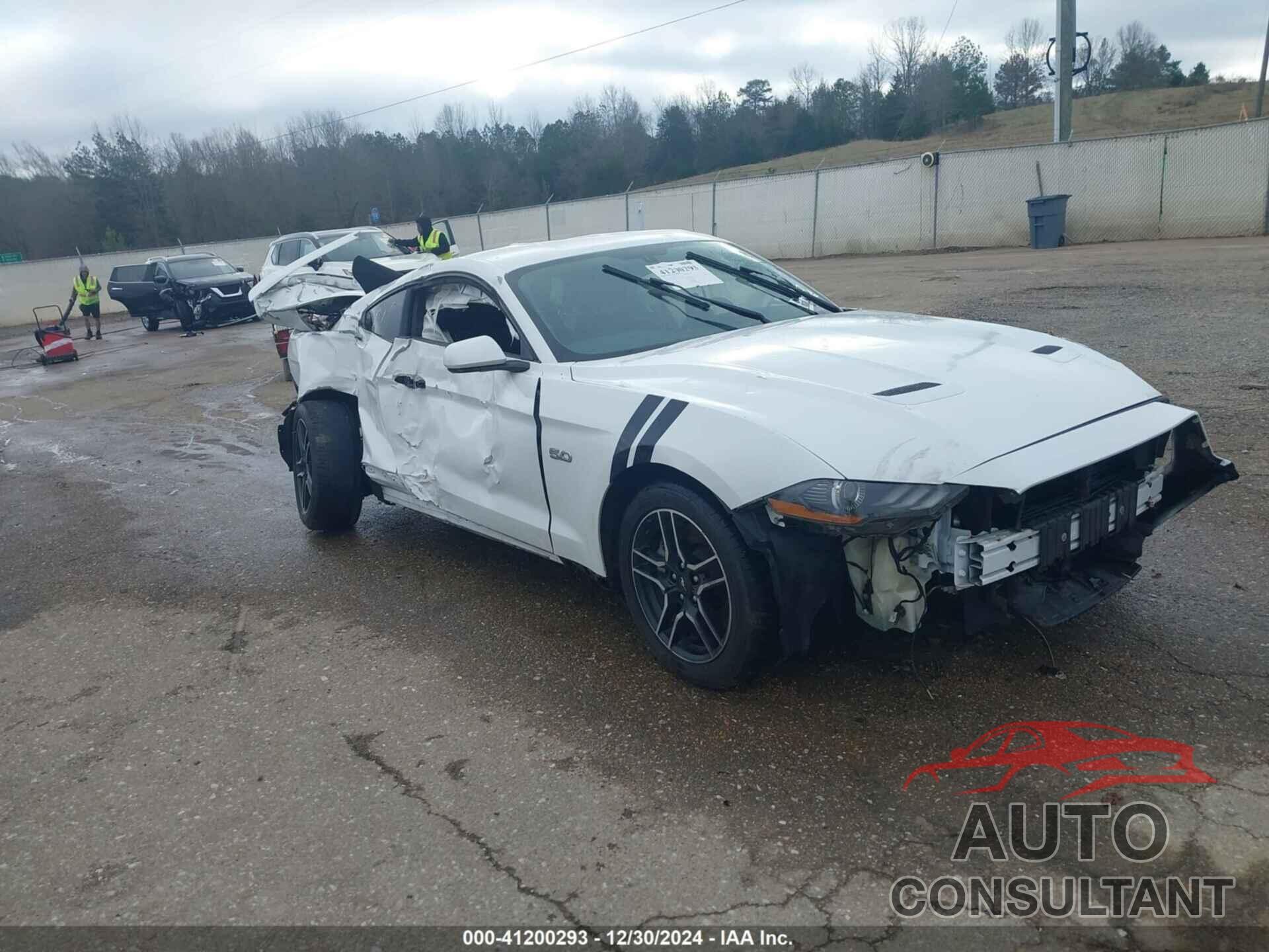 FORD MUSTANG 2019 - 1FA6P8CF5K5146748