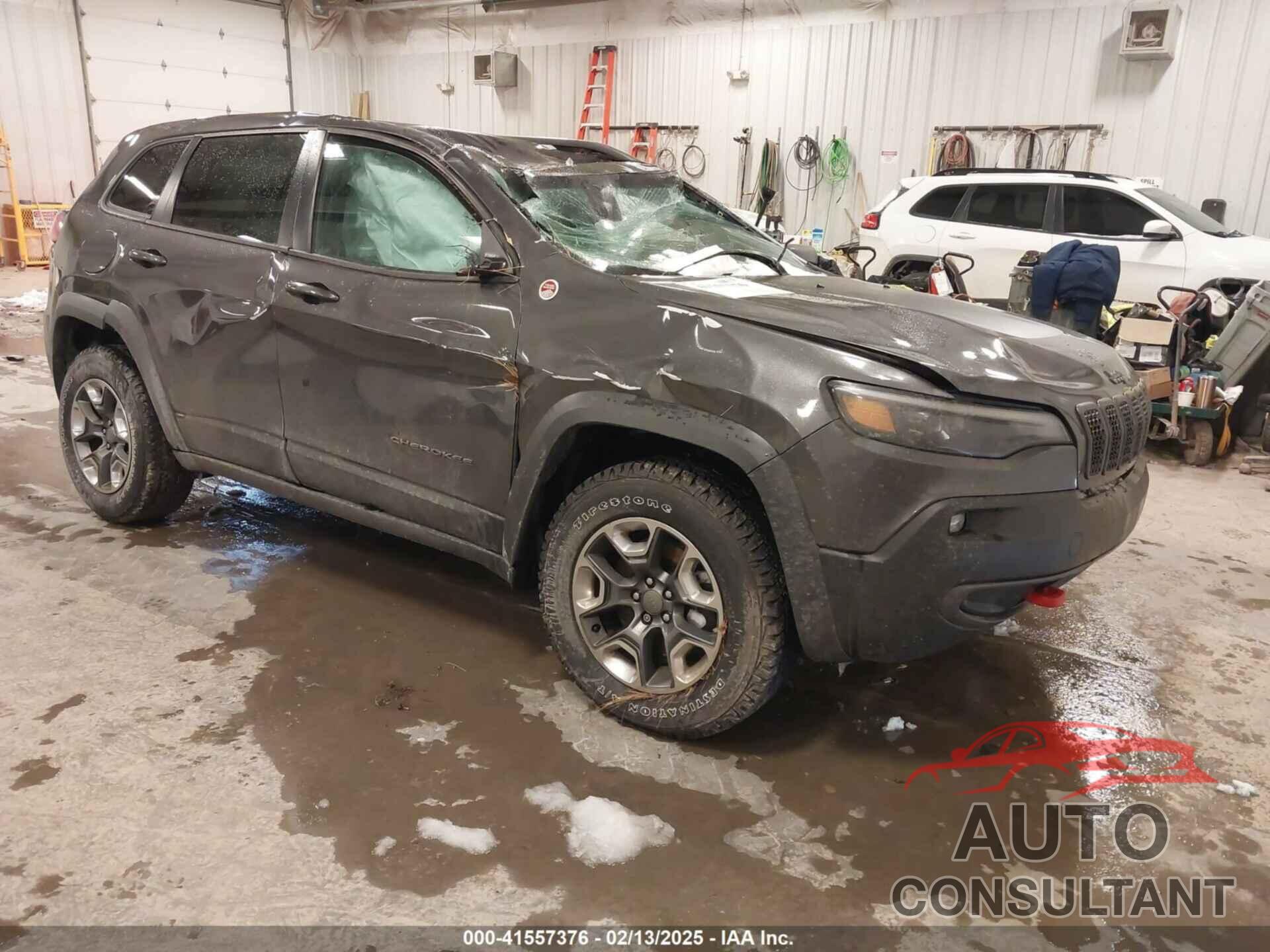 JEEP CHEROKEE 2019 - 1C4PJMBX3KD185962
