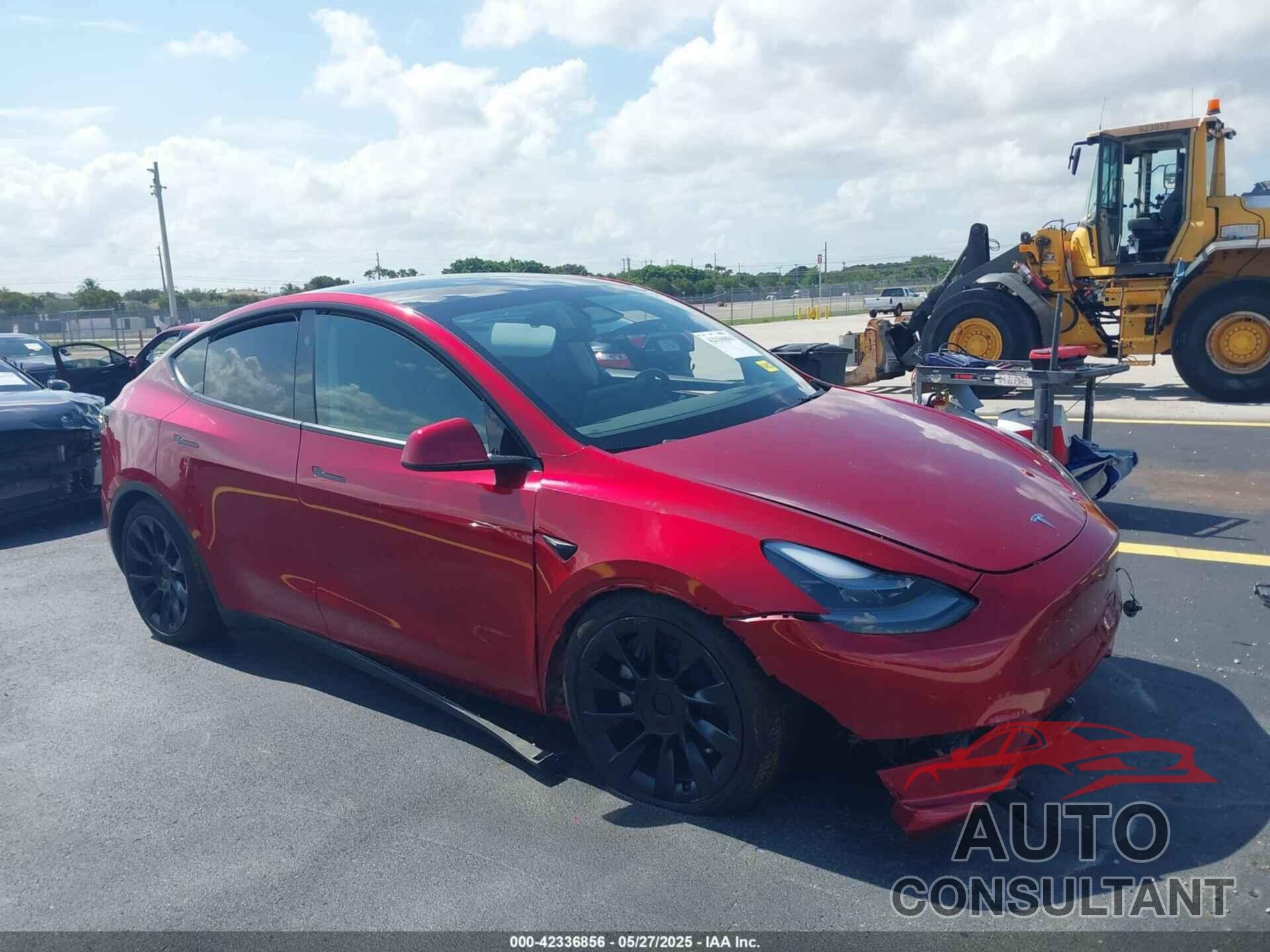 TESLA MODEL Y 2024 - 7SAYGDED8RF019494