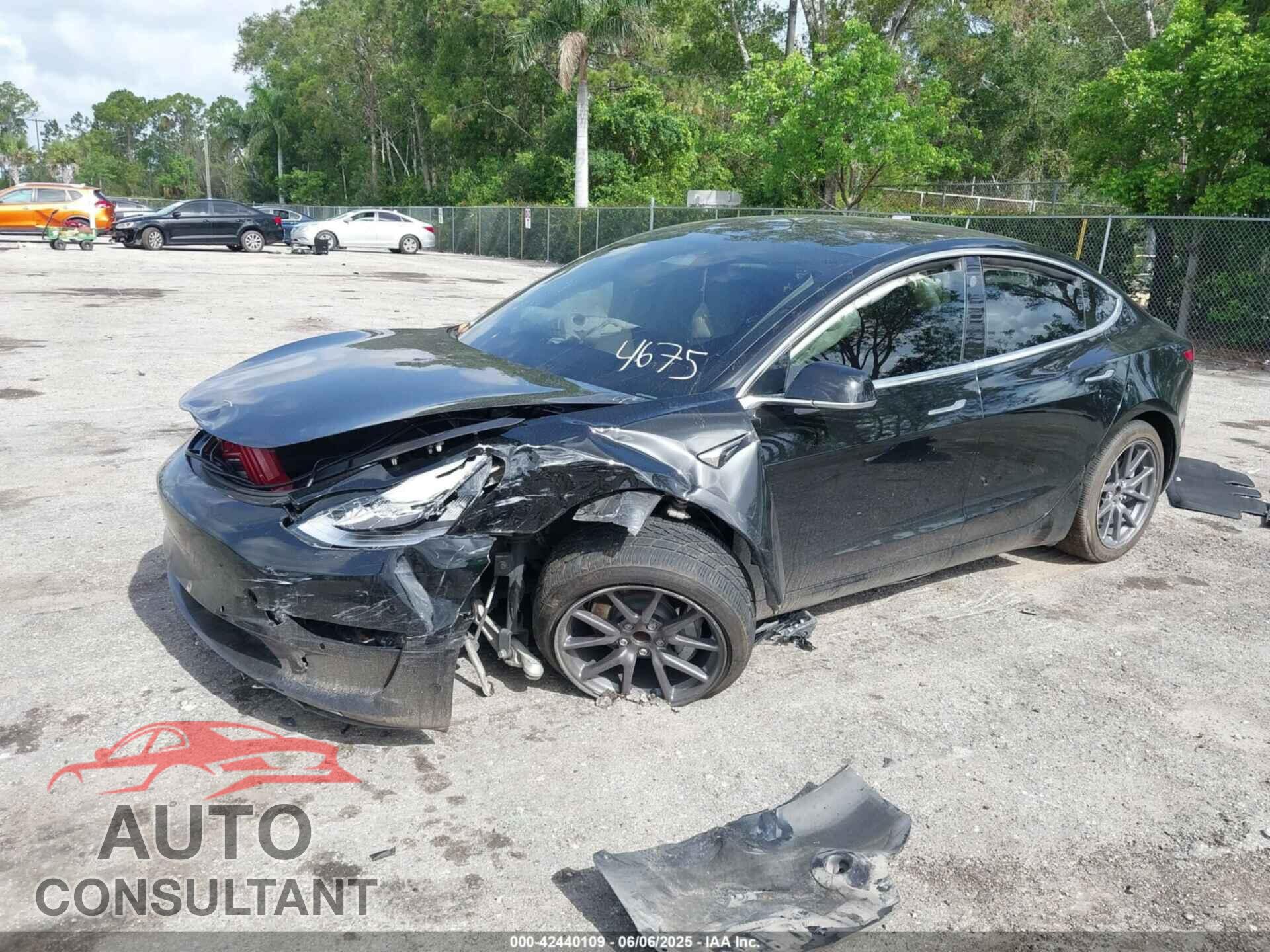 TESLA MODEL 3 2019 - 5YJ3E1EA2KF394675