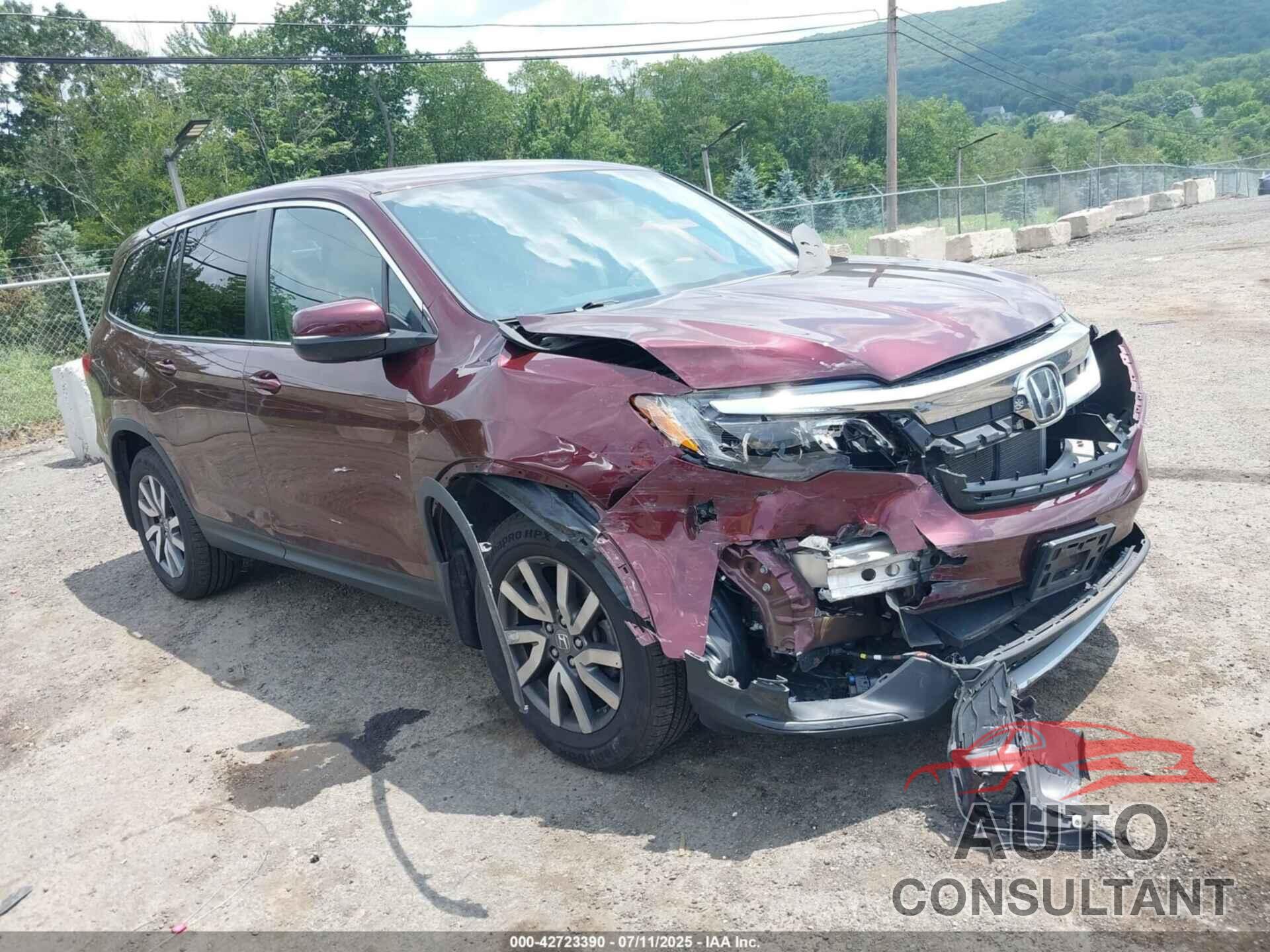 HONDA PILOT 2019 - 5FNYF6H36KB079911
