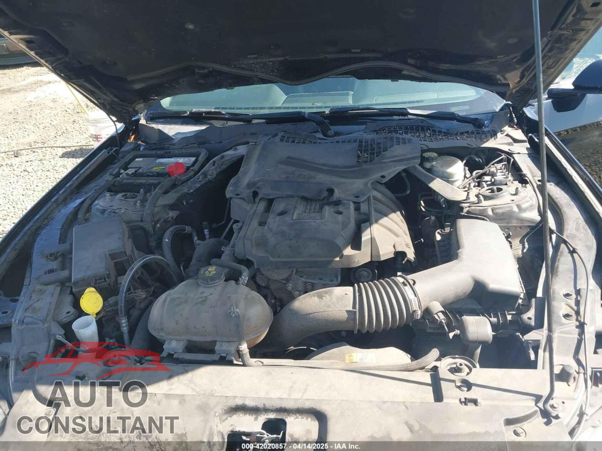 FORD MUSTANG 2017 - 1FATP8UH2H5287546