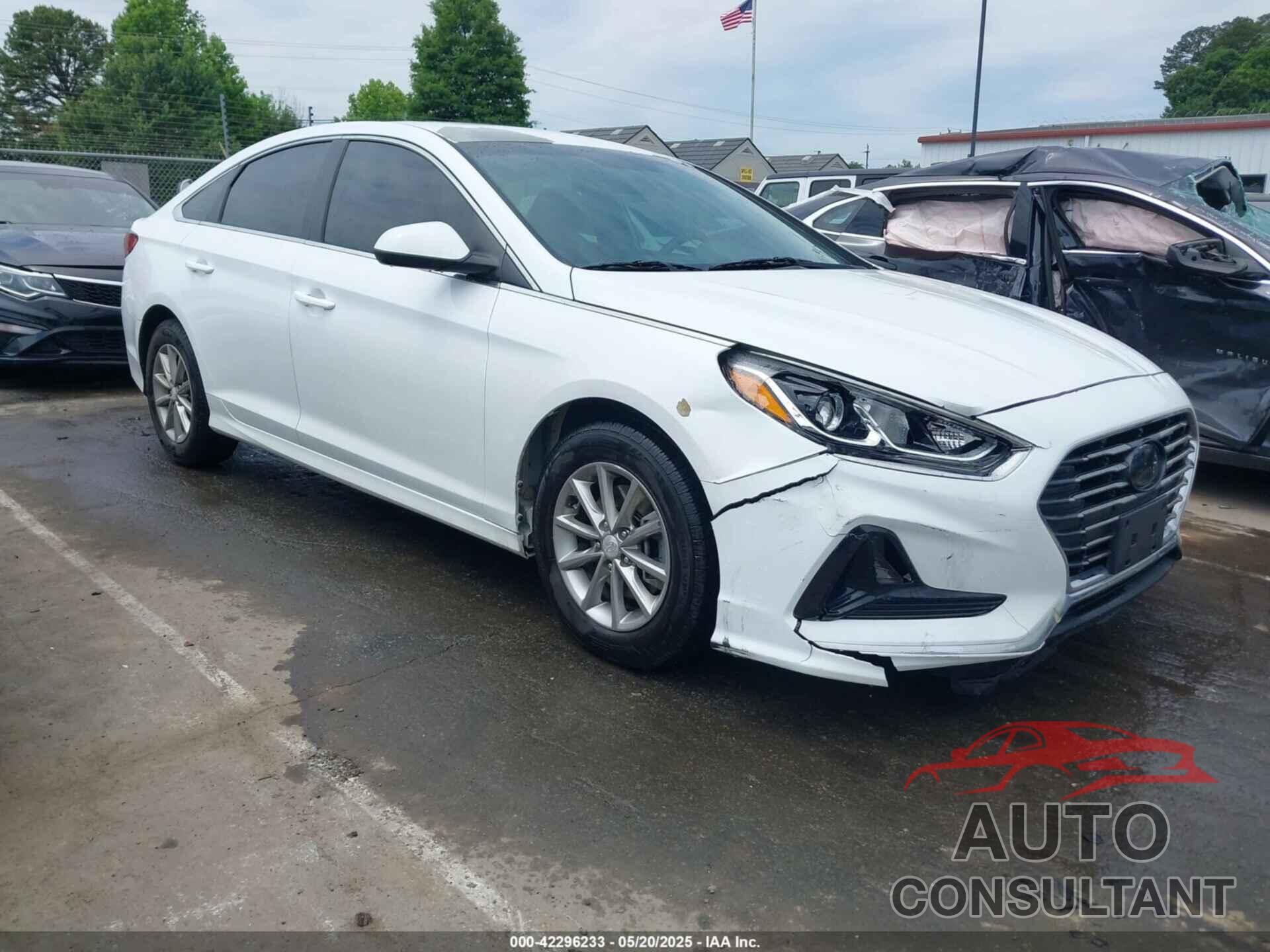 HYUNDAI SONATA 2019 - 5NPE24AF5KH774745