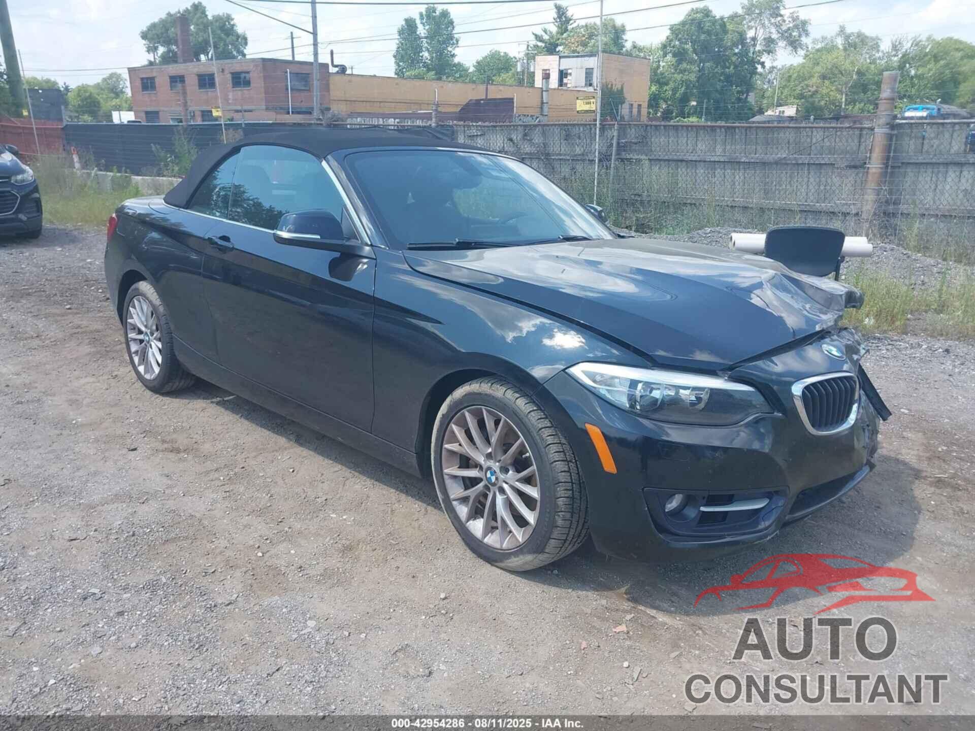 BMW 228I 2016 - WBA1L9C55GV325471