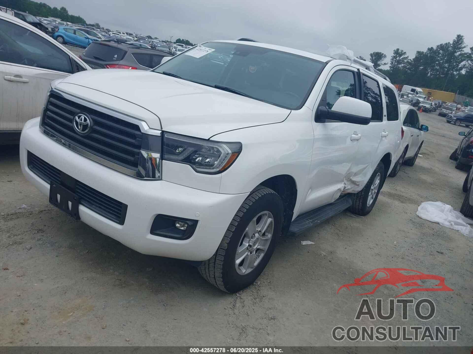 TOYOTA SEQUOIA 2019 - 5TDBY5G16KS170151