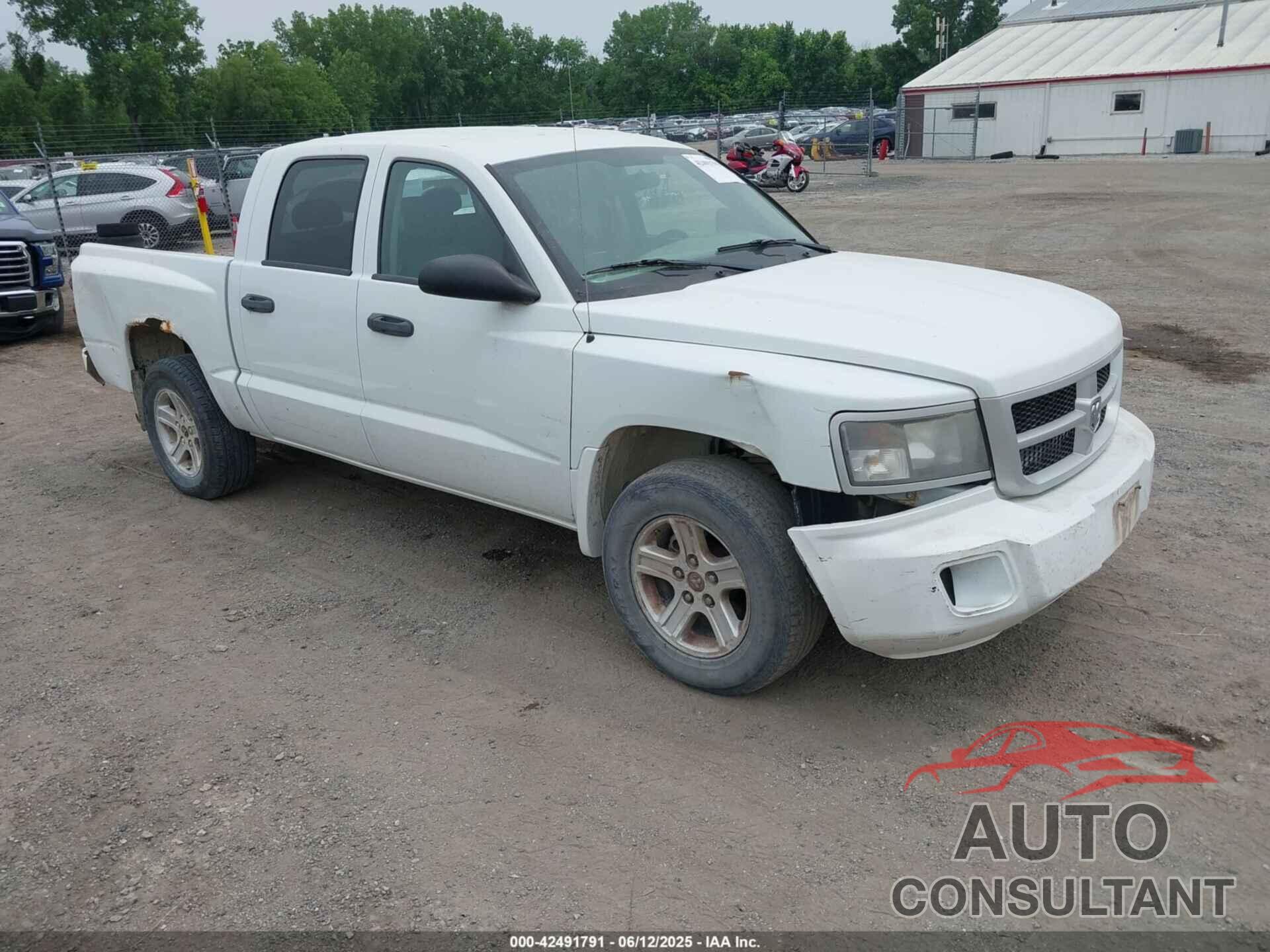 DODGE DAKOTA 2010 - 1D7CE3GK4AS163639