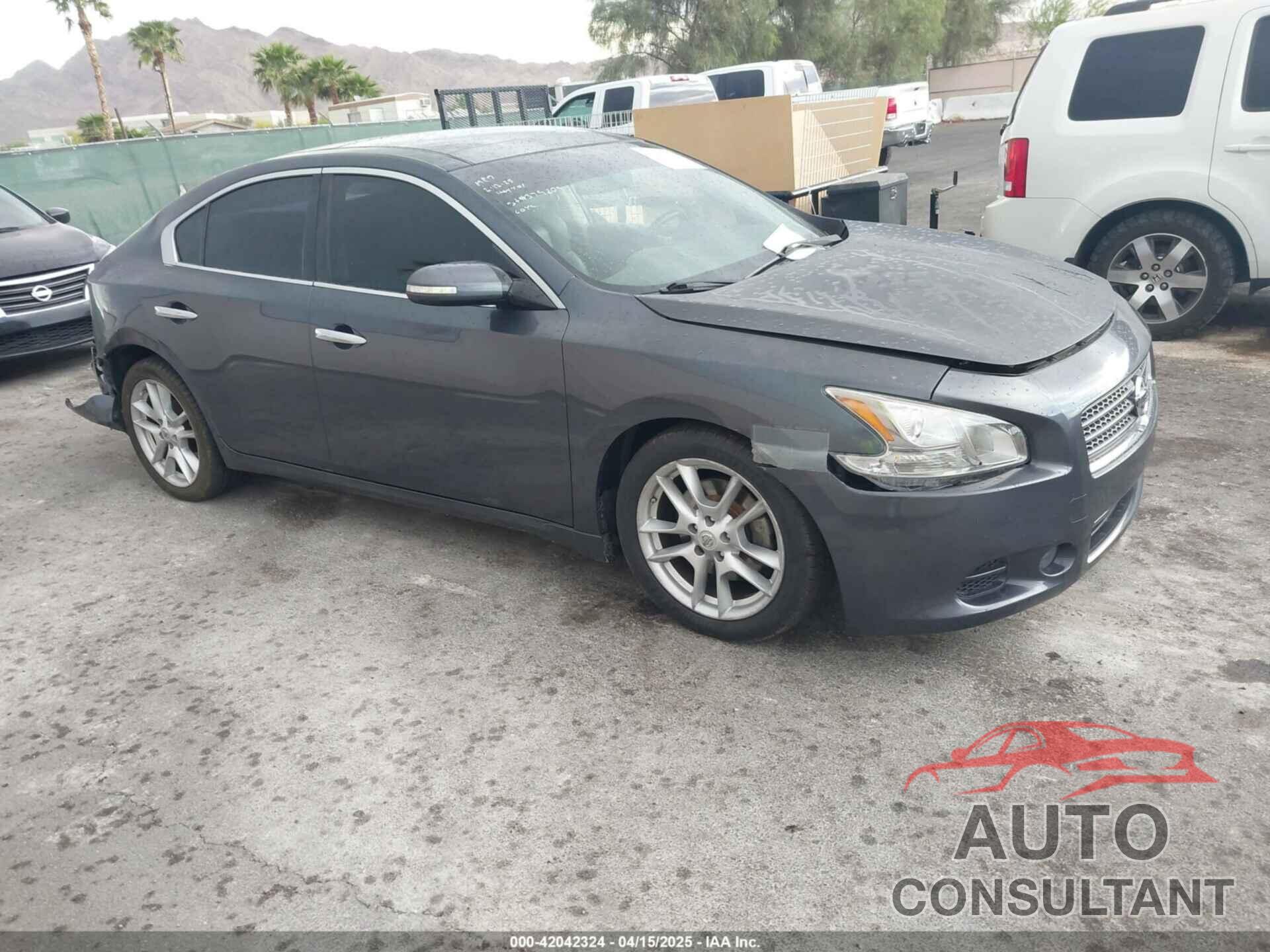 NISSAN MAXIMA 2010 - 1N4AA5AP0AC824855