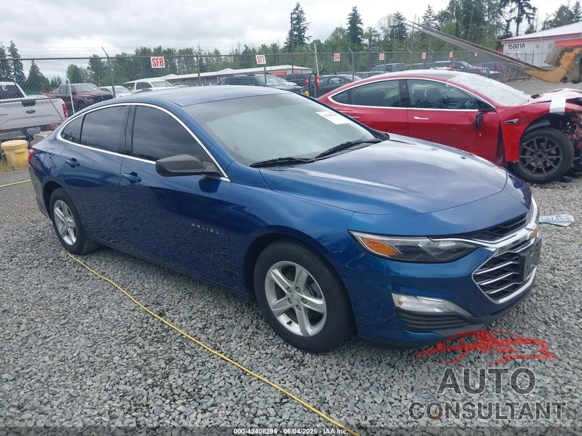 CHEVROLET MALIBU 2019 - 1G1ZC5ST8KF158159