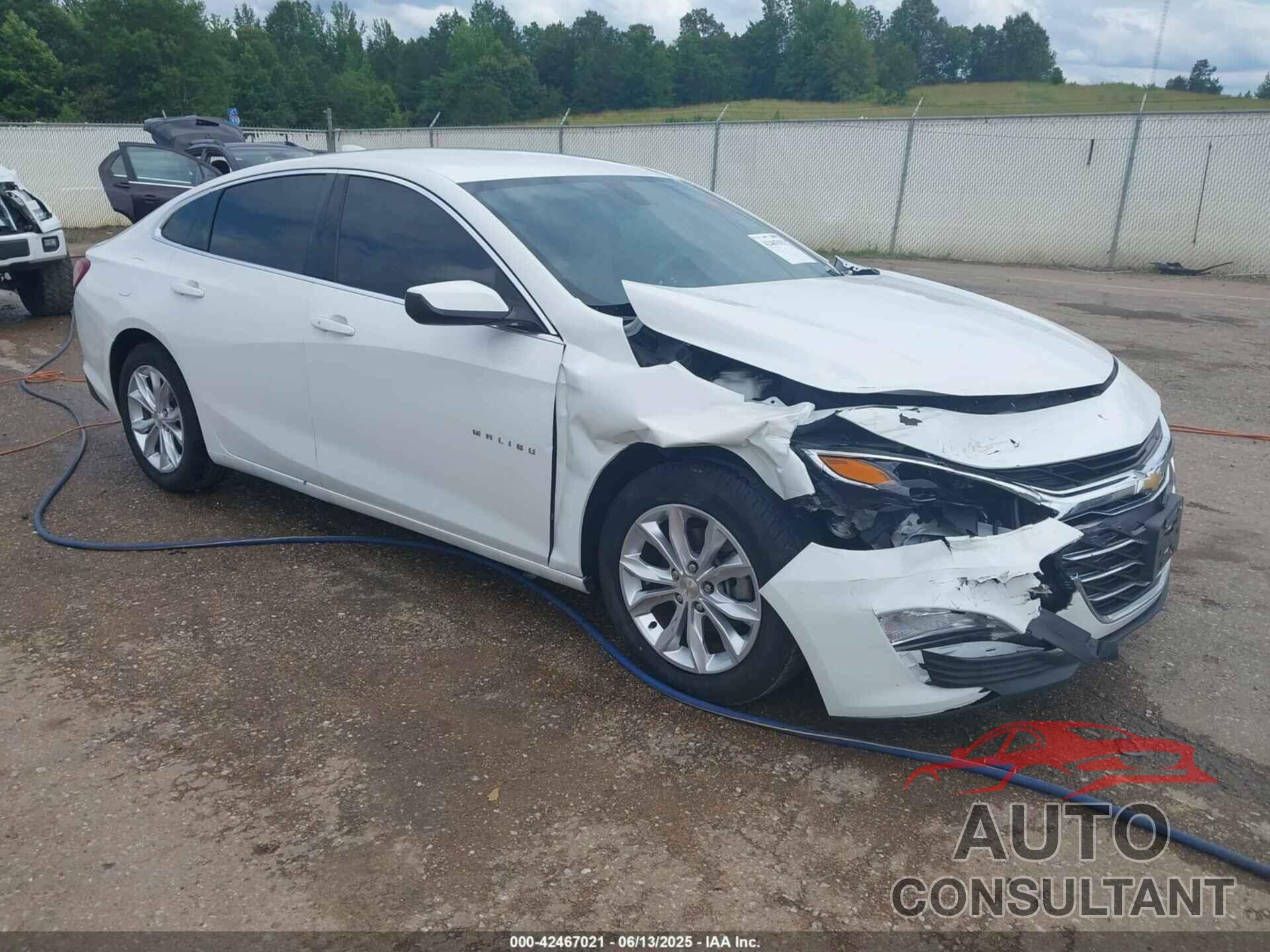 CHEVROLET MALIBU 2019 - 1G1ZD5STXKF170181