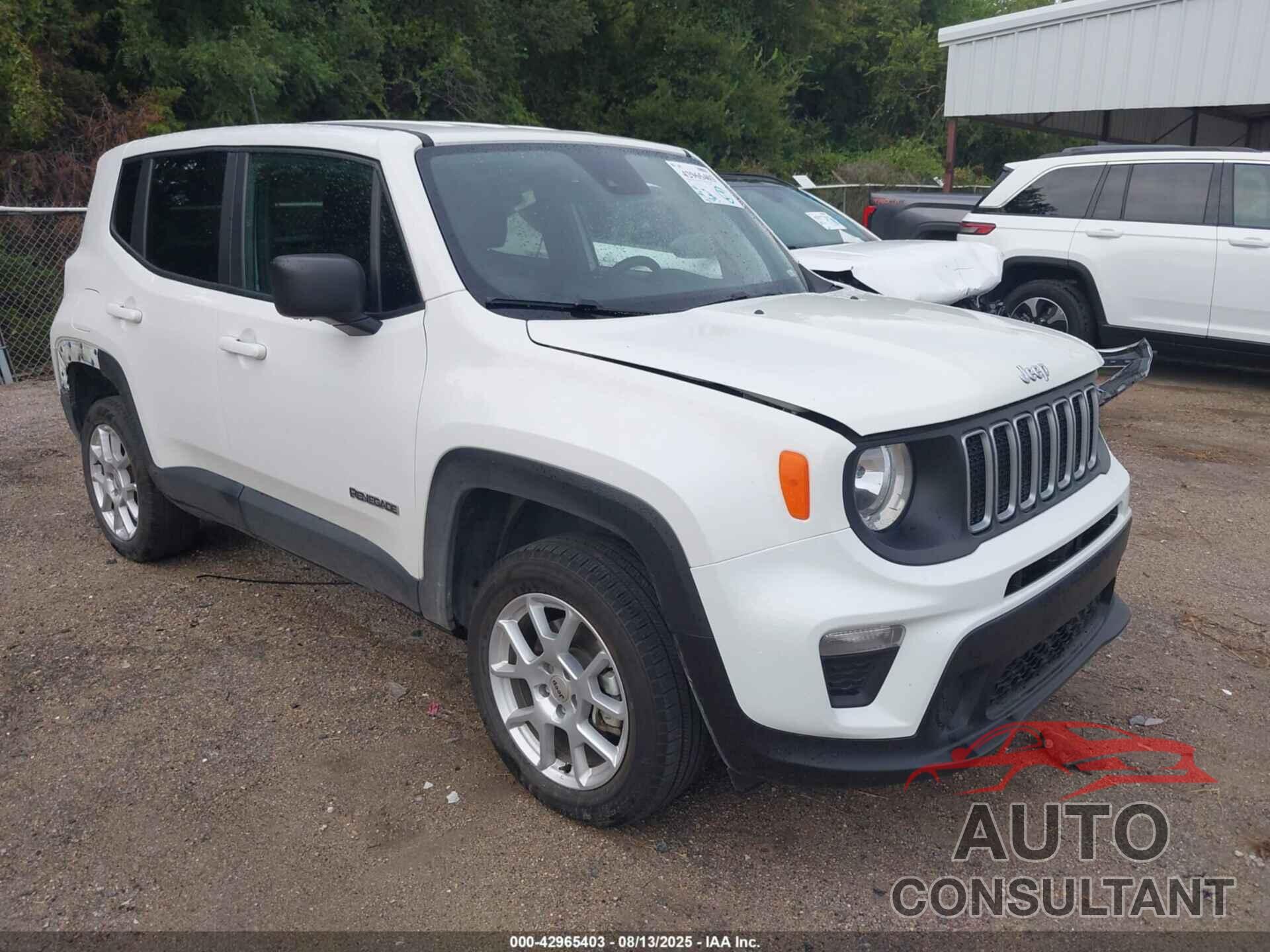 JEEP RENEGADE 2023 - ZACNJDB18PPP67497