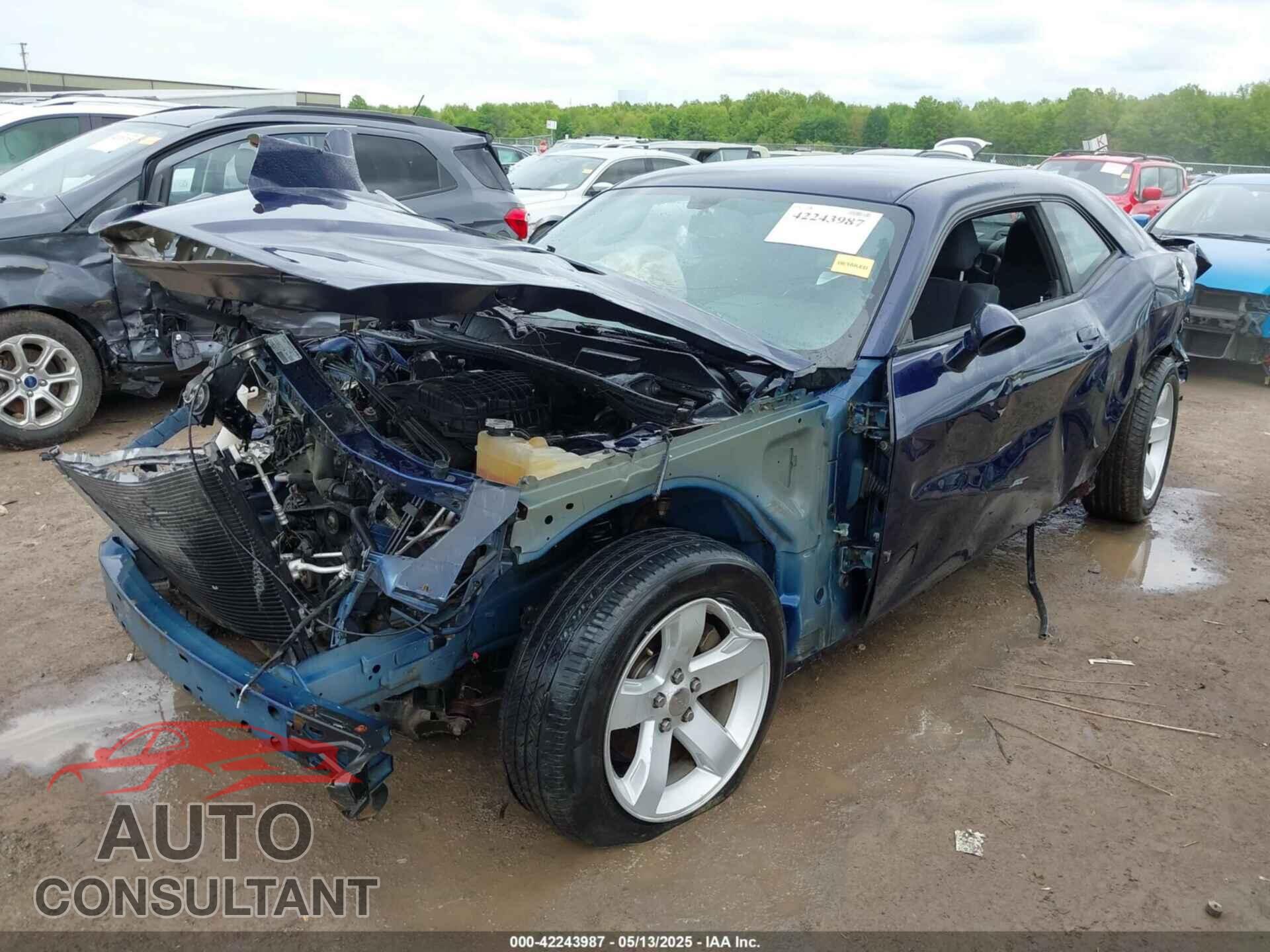 DODGE CHALLENGER 2013 - 2C3CDYAG3DH665962