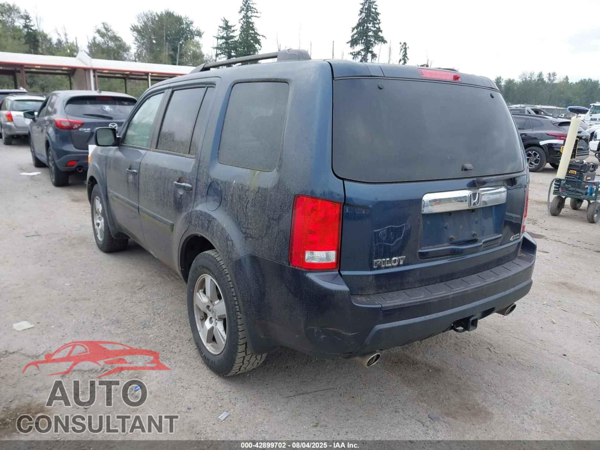 HONDA PILOT 2010 - 5FNYF4H5XAB024995