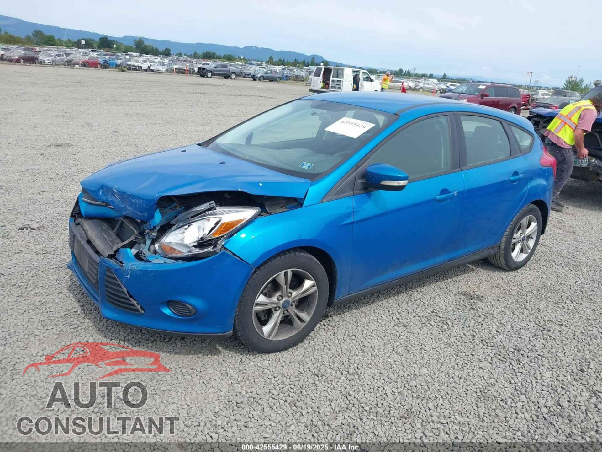 FORD FOCUS 2013 - 1FADP3K25DL159054