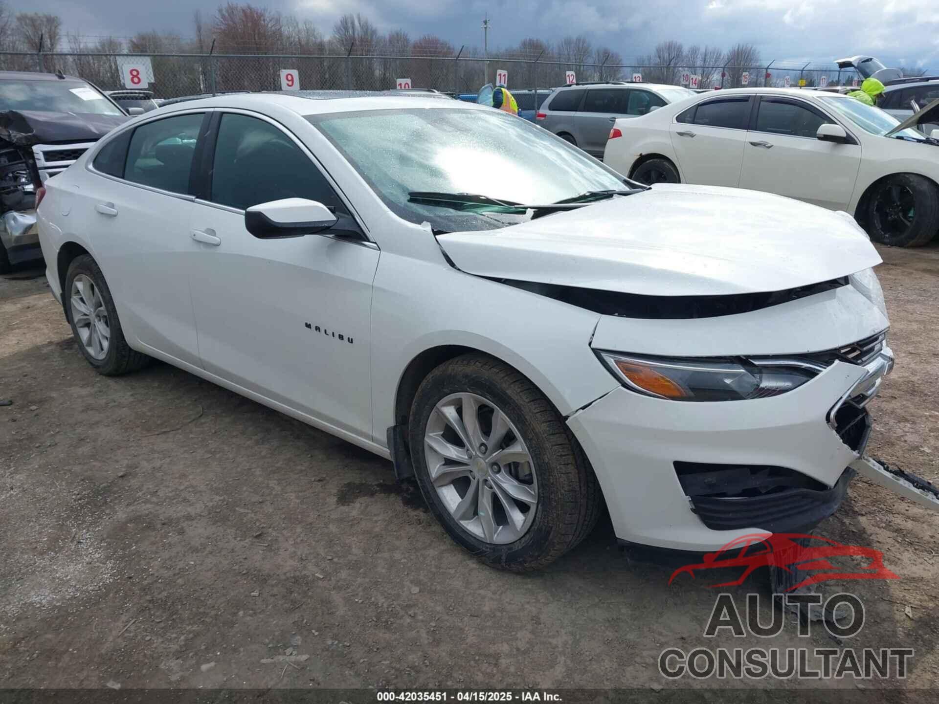 CHEVROLET MALIBU 2021 - 1G1ZD5ST6MF052843