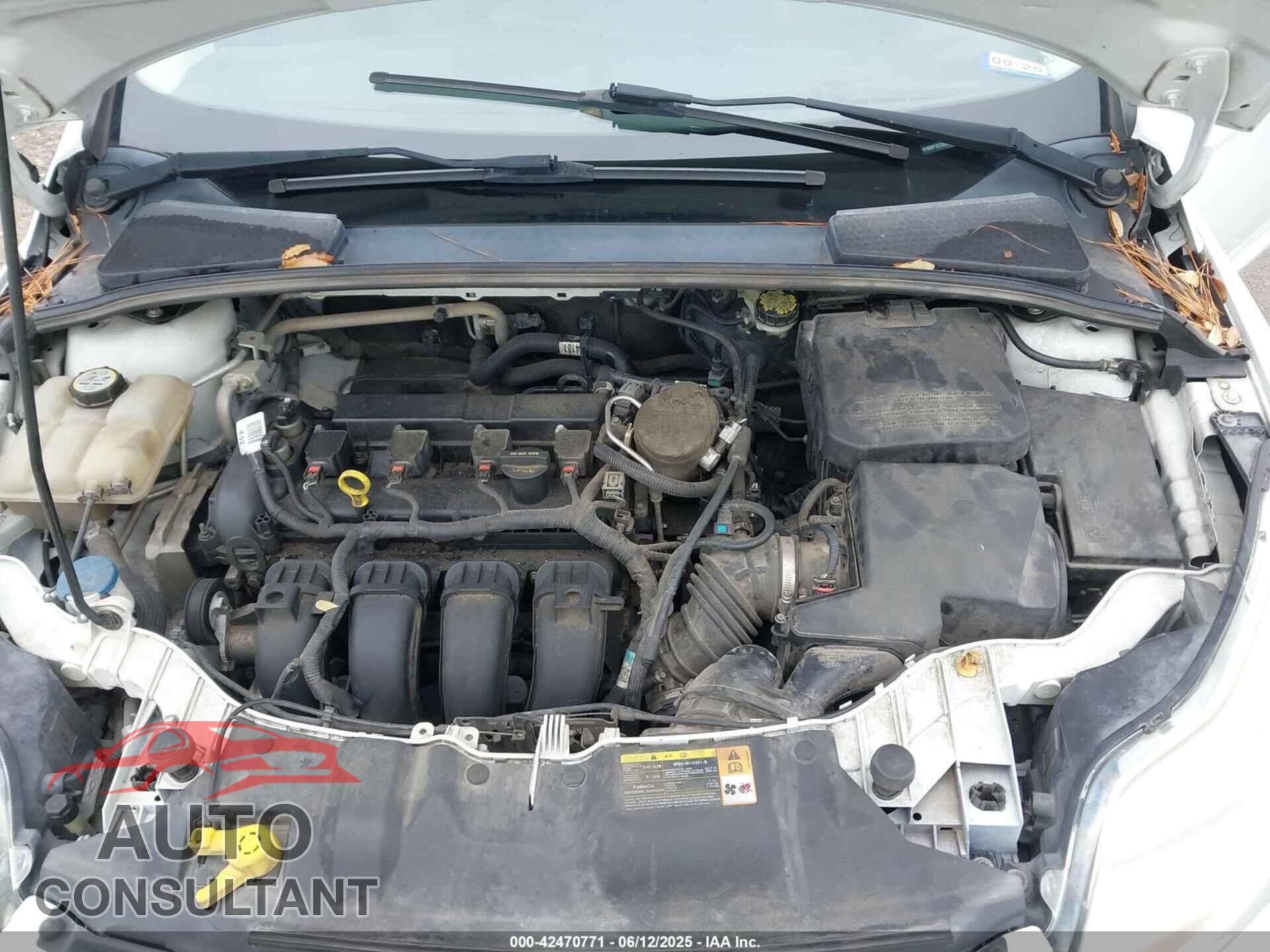 FORD FOCUS 2013 - 1FADP3E28DL320721