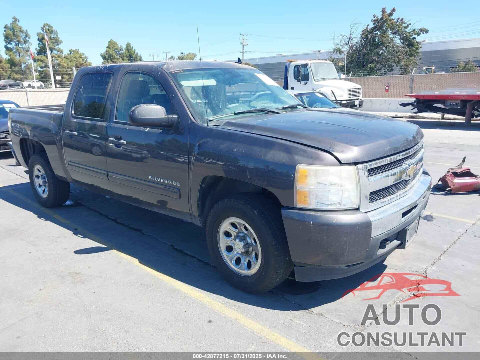 CHEVROLET SILVERADO 1500 2010 - 3GCRKREAXAG241133