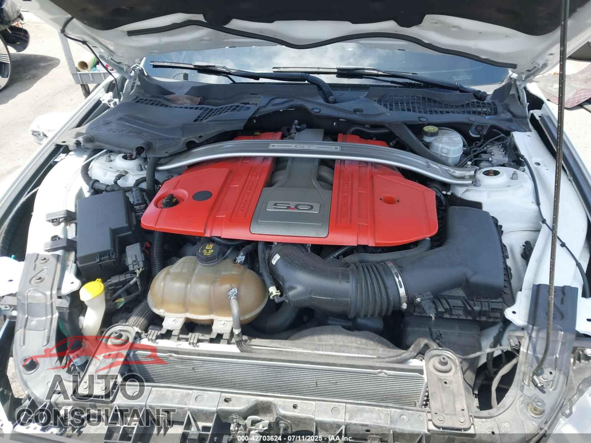 FORD MUSTANG 2019 - 1FA6P8CF9K5118936