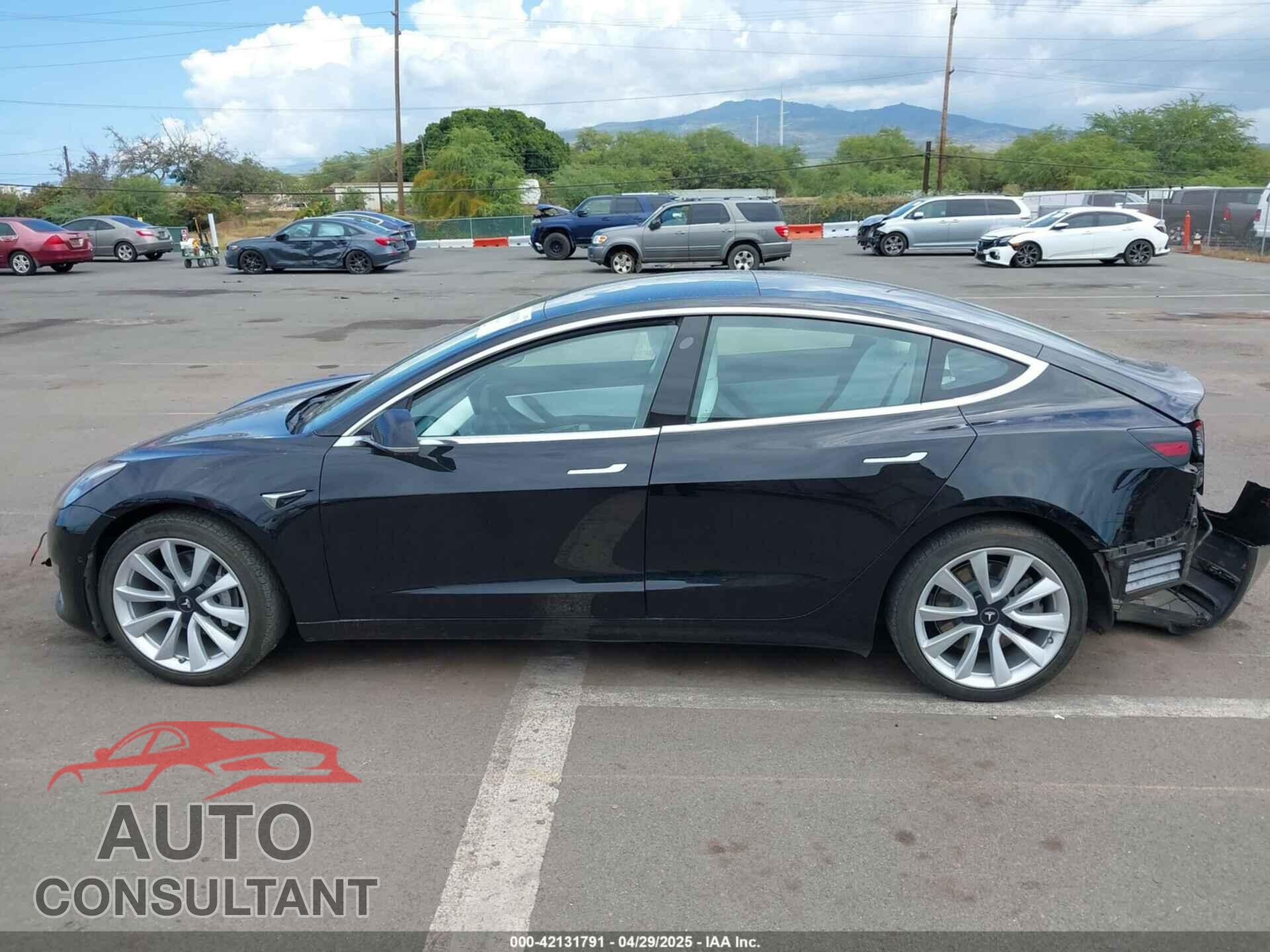 TESLA MODEL 3 2019 - 5YJ3E1EA7KF445166
