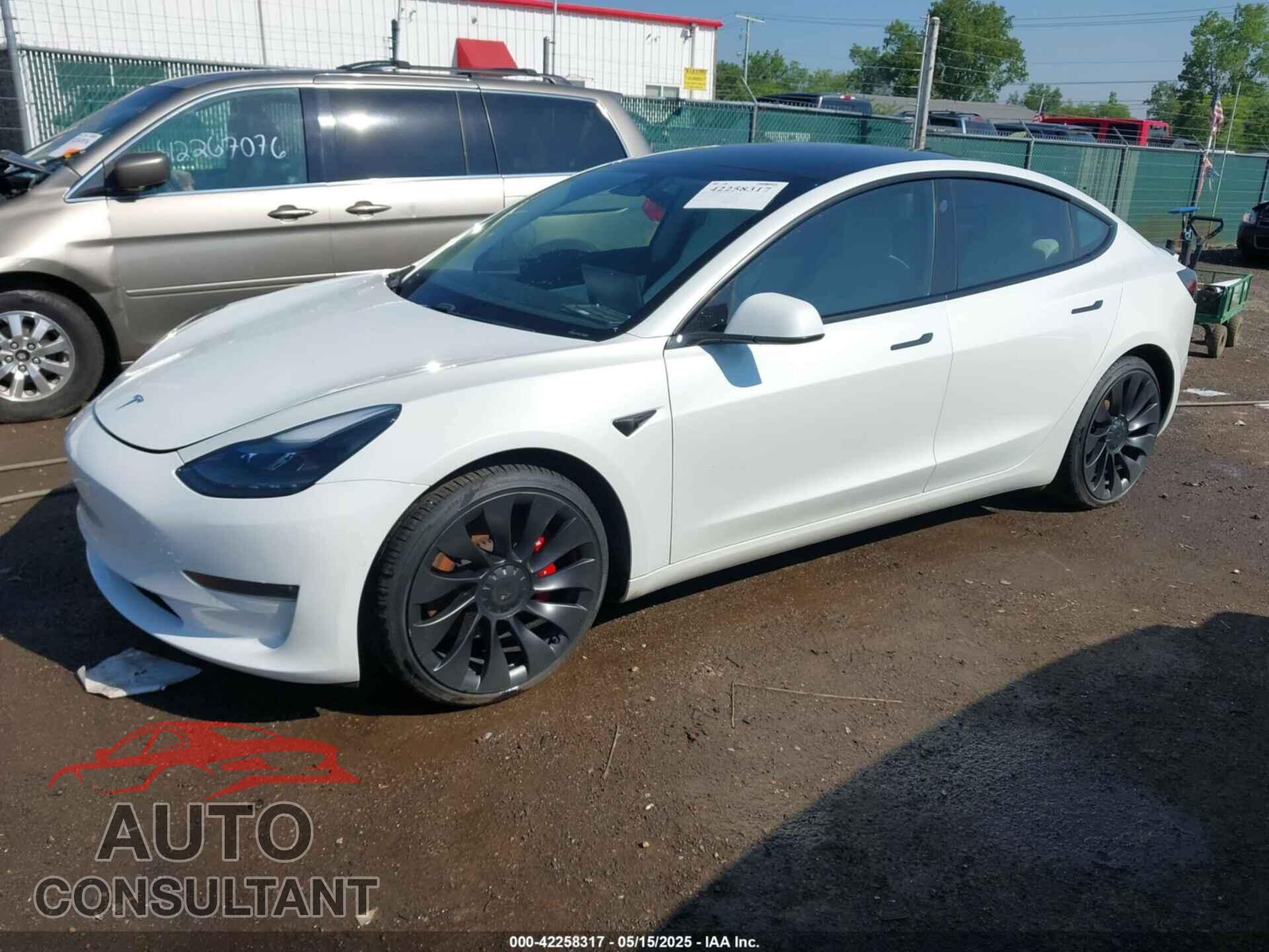 TESLA MODEL 3 2021 - 5YJ3E1EC7MF919282