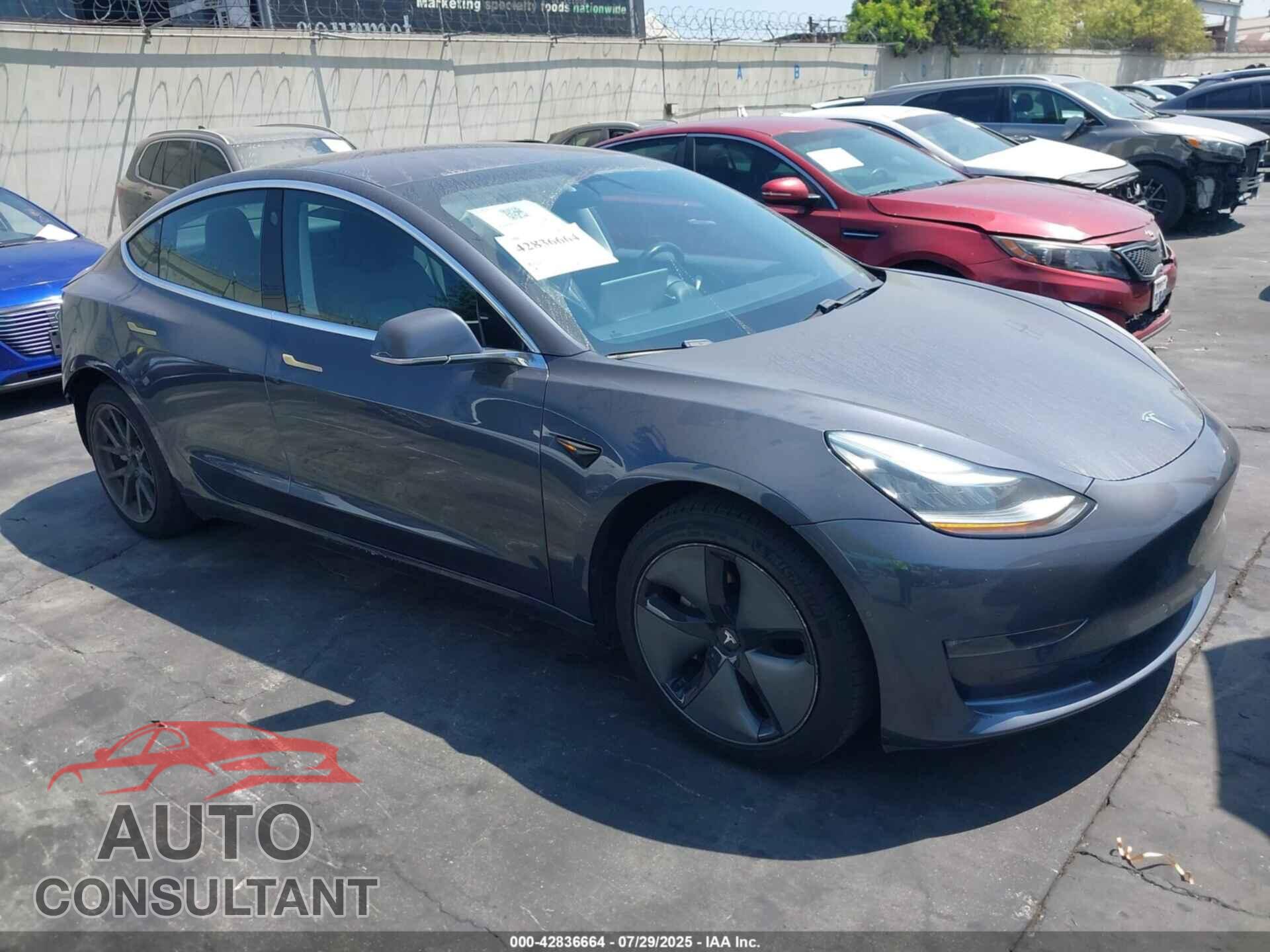 TESLA MODEL 3 2019 - 5YJ3E1EA5KF325480
