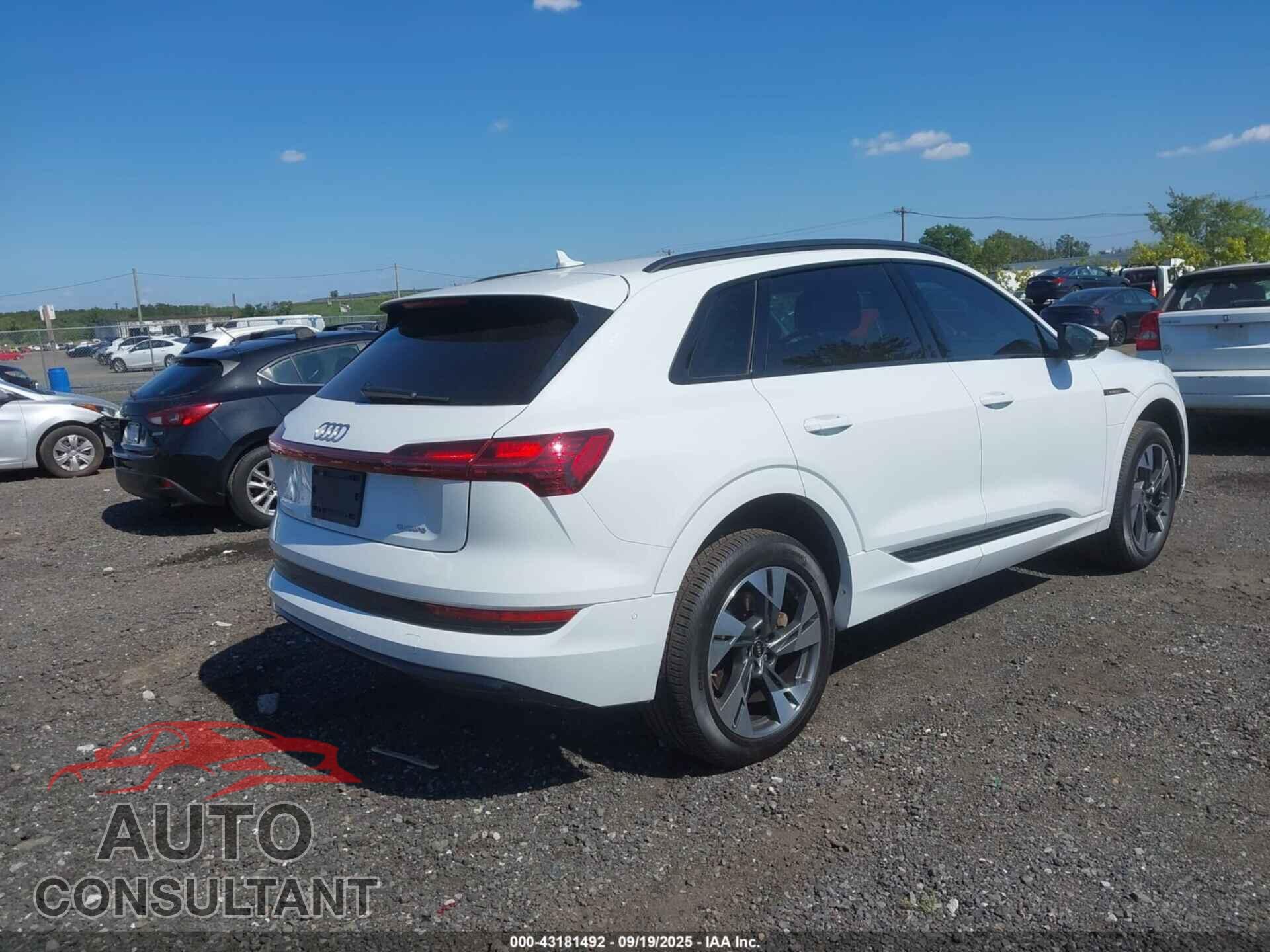 AUDI E-TRON 2022 - WA1AAAGE0NB042425