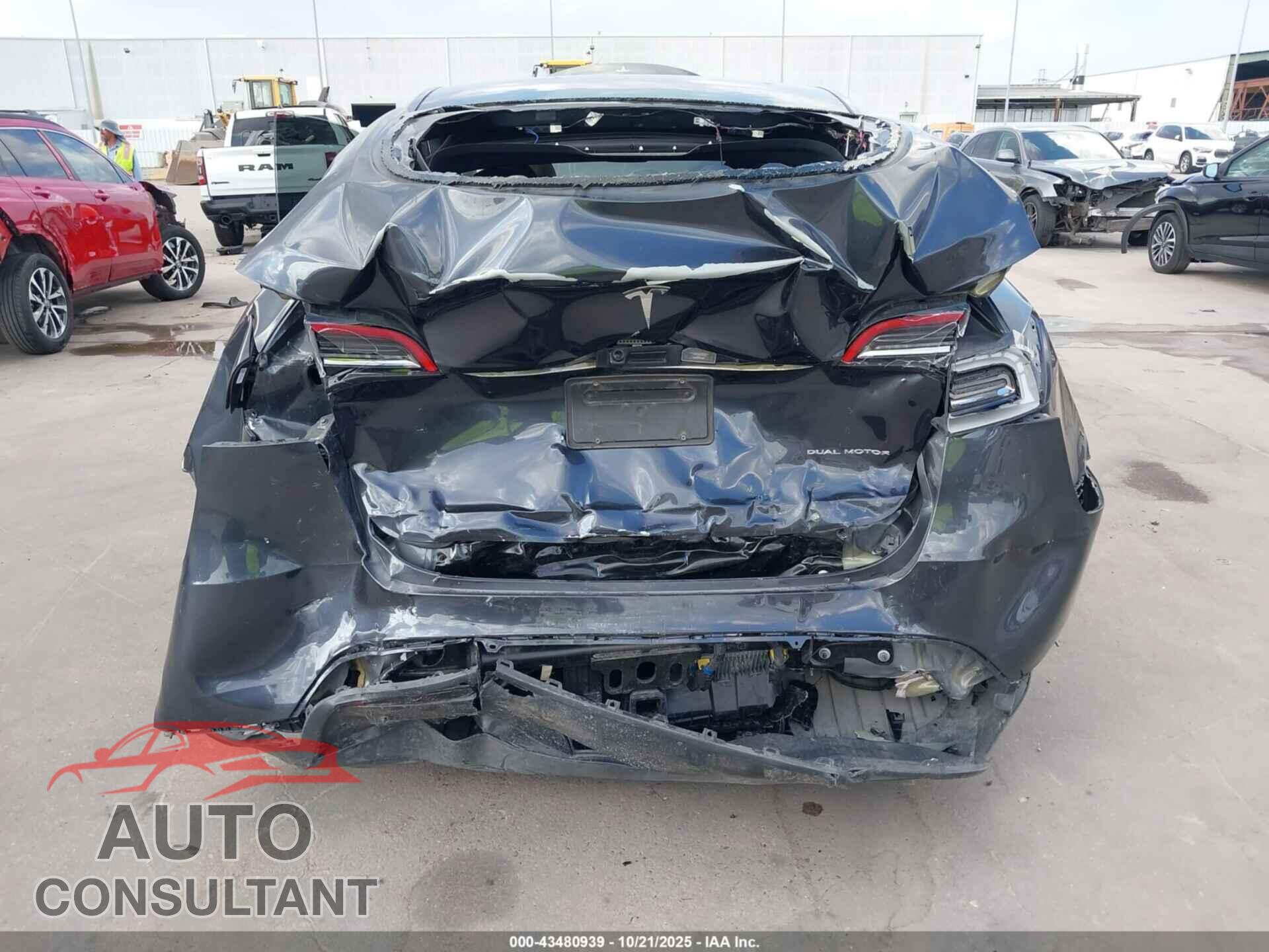 TESLA MODEL Y 2025 - 7SAYGDEE7SA345847