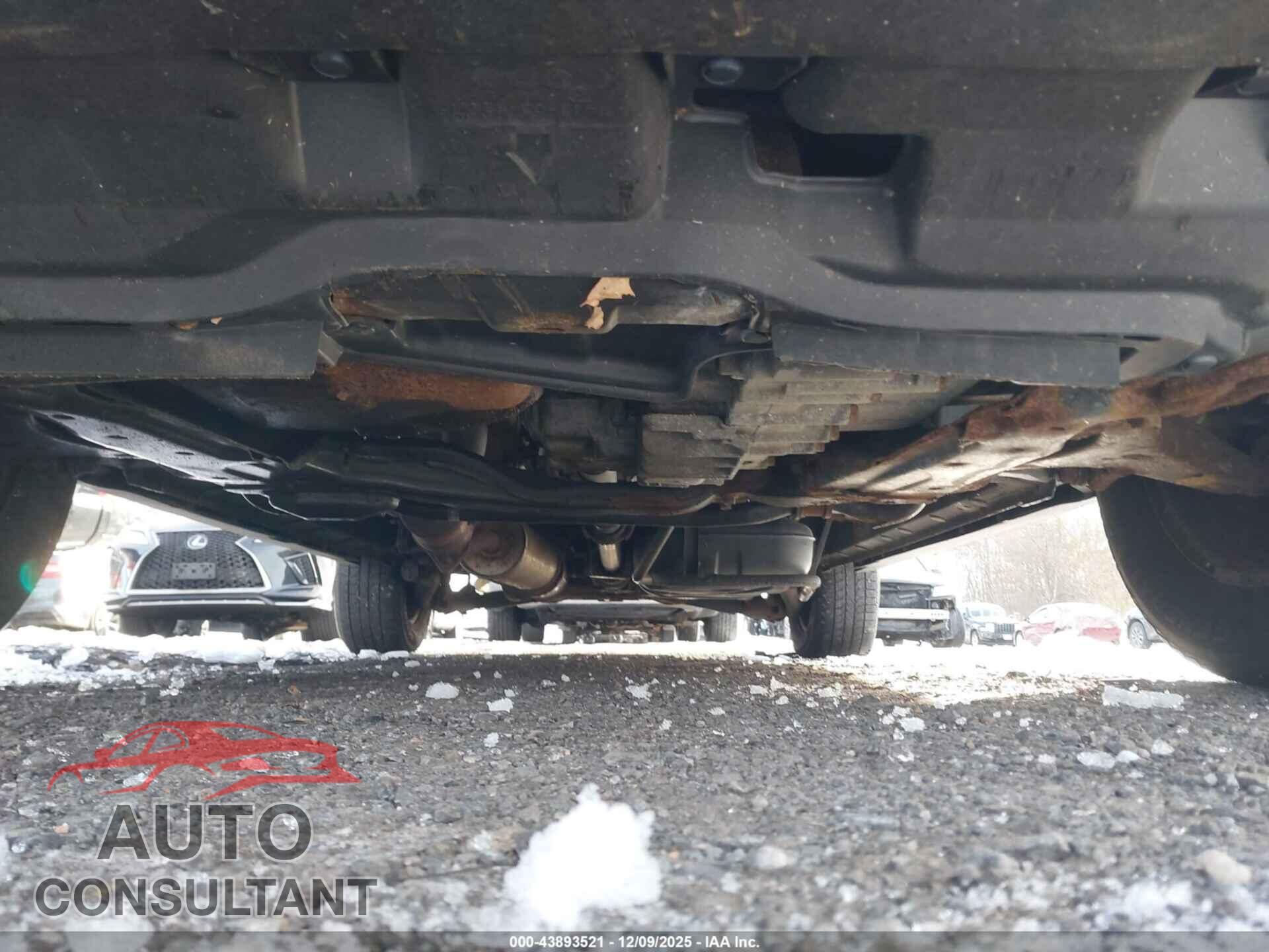 HONDA ELEMENT 2011 - 5J6YH2H31BL002079