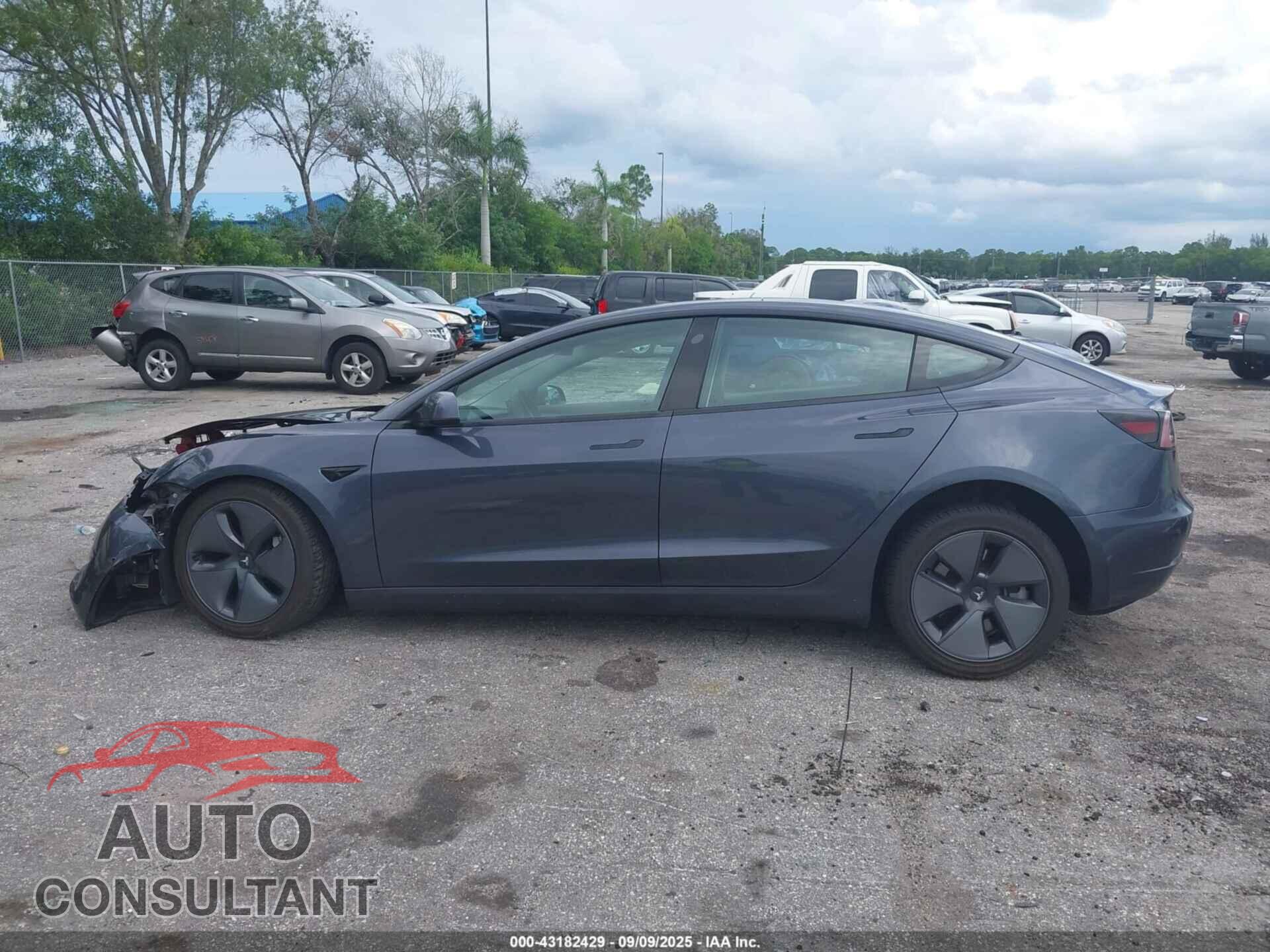 TESLA MODEL 3 2021 - 5YJ3E1EA1MF077795
