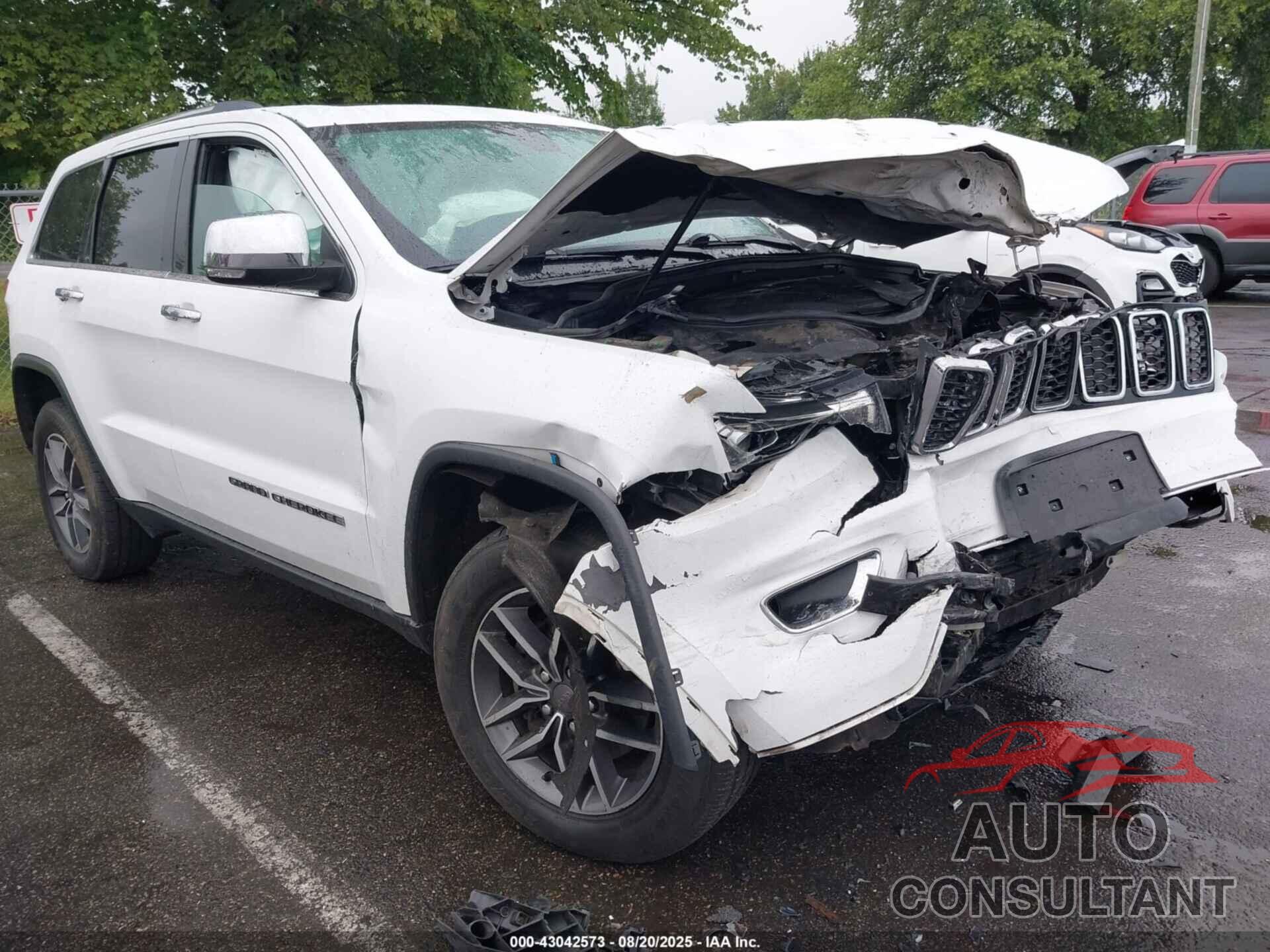 JEEP GRAND CHEROKEE 2019 - 1C4RJFBG1KC532697