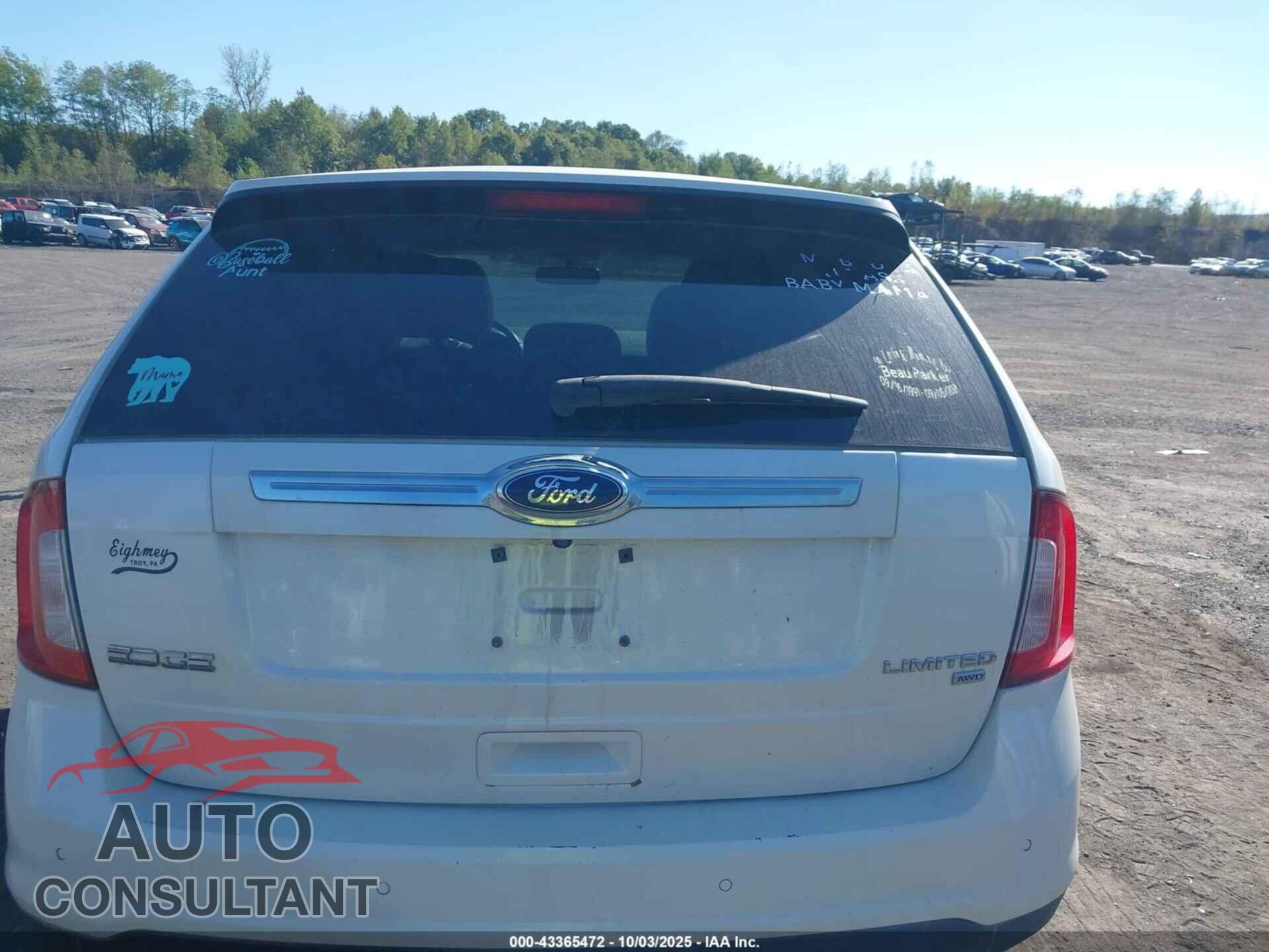 FORD EDGE 2014 - 2FMDK4KC0EBA54281