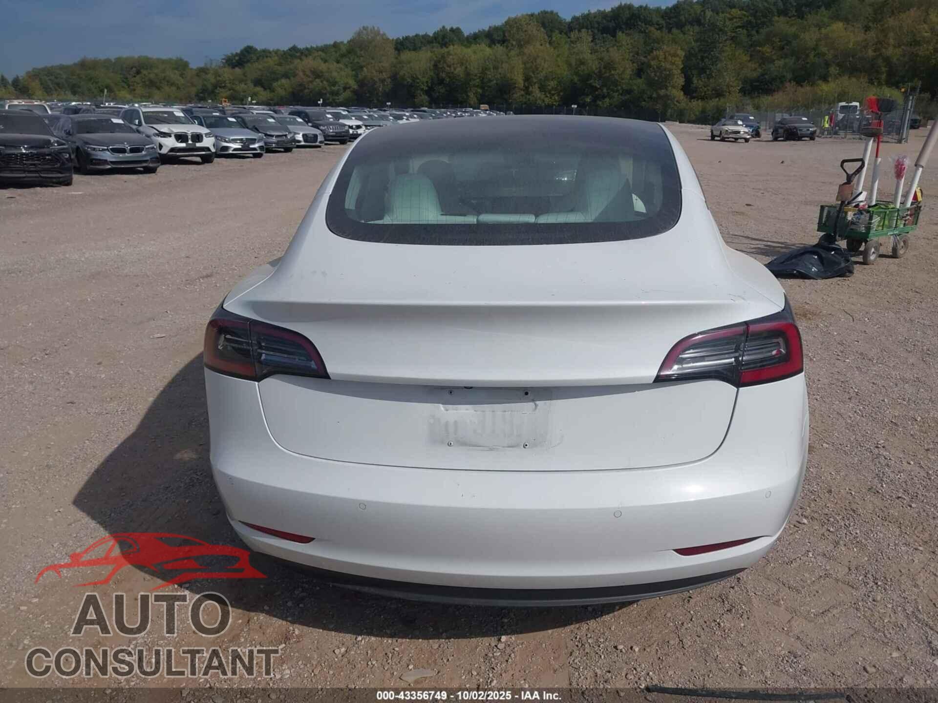 TESLA MODEL 3 2018 - 5YJ3E1EB7JF098090