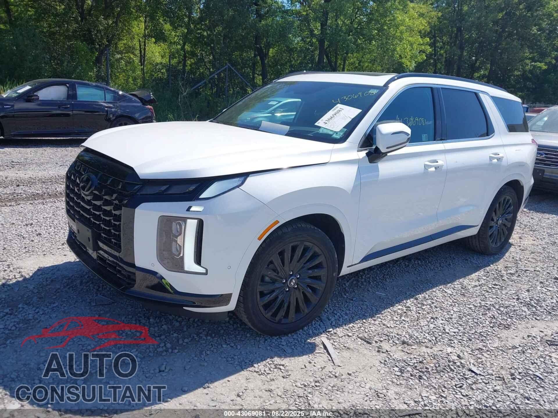 HYUNDAI PALISADE 2024 - KM8R7DGEXRU764824